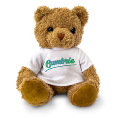 CUMBRIA (SCRIPT) - Teddy Bear - Cute Cuddly Soft Funny - Cumbrian Gift Present