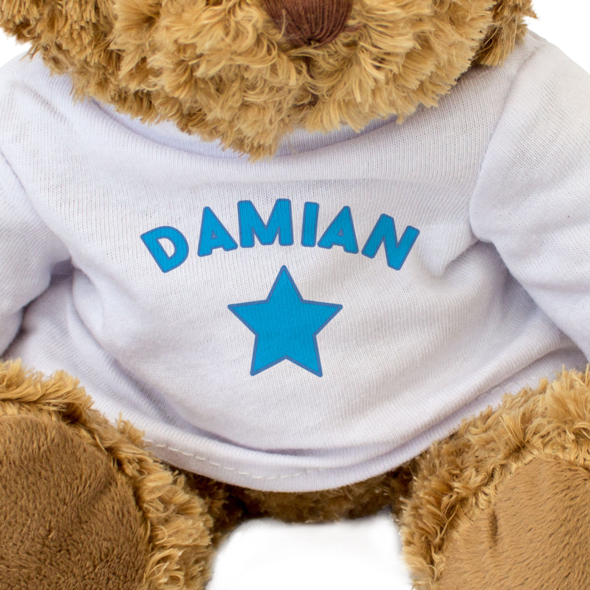 Damian - Teddy Bear - Gift Present