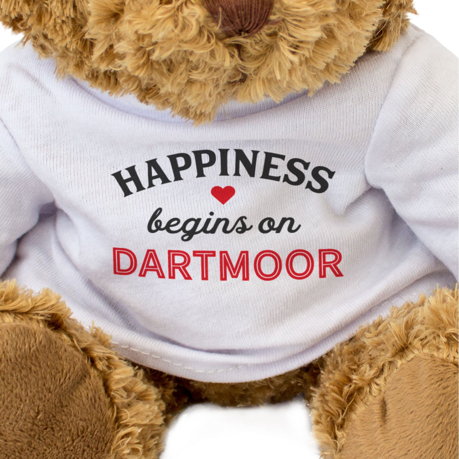 HAPPINESS BEGINS ON DARTMOOR - Teddy Bear - Funny Devon Souvenir Gift Present