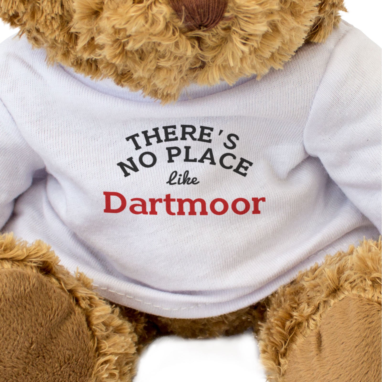 THERE'S NO PLACE LIKE DARTMOOR - Teddy Bear - Funny Devon Souvenir Gift Present
