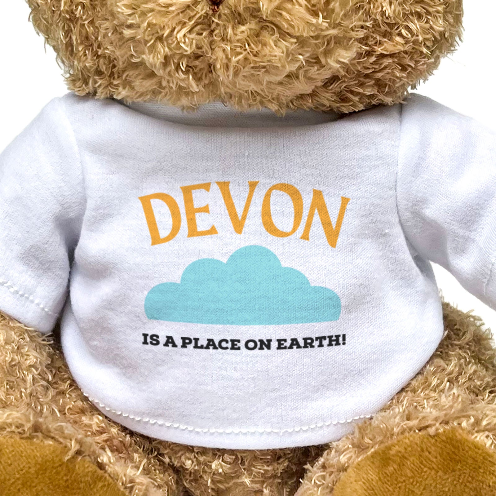 DEVON IS A PLACE ON EARTH - Teddy Bear - Cute Cuddly Soft - Funny Gift Present