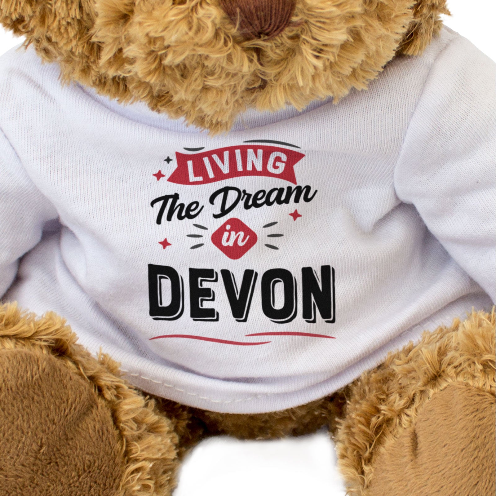 LIVING THE DREAM IN DEVON - Teddy Bear - Cute - Funny Gift Present