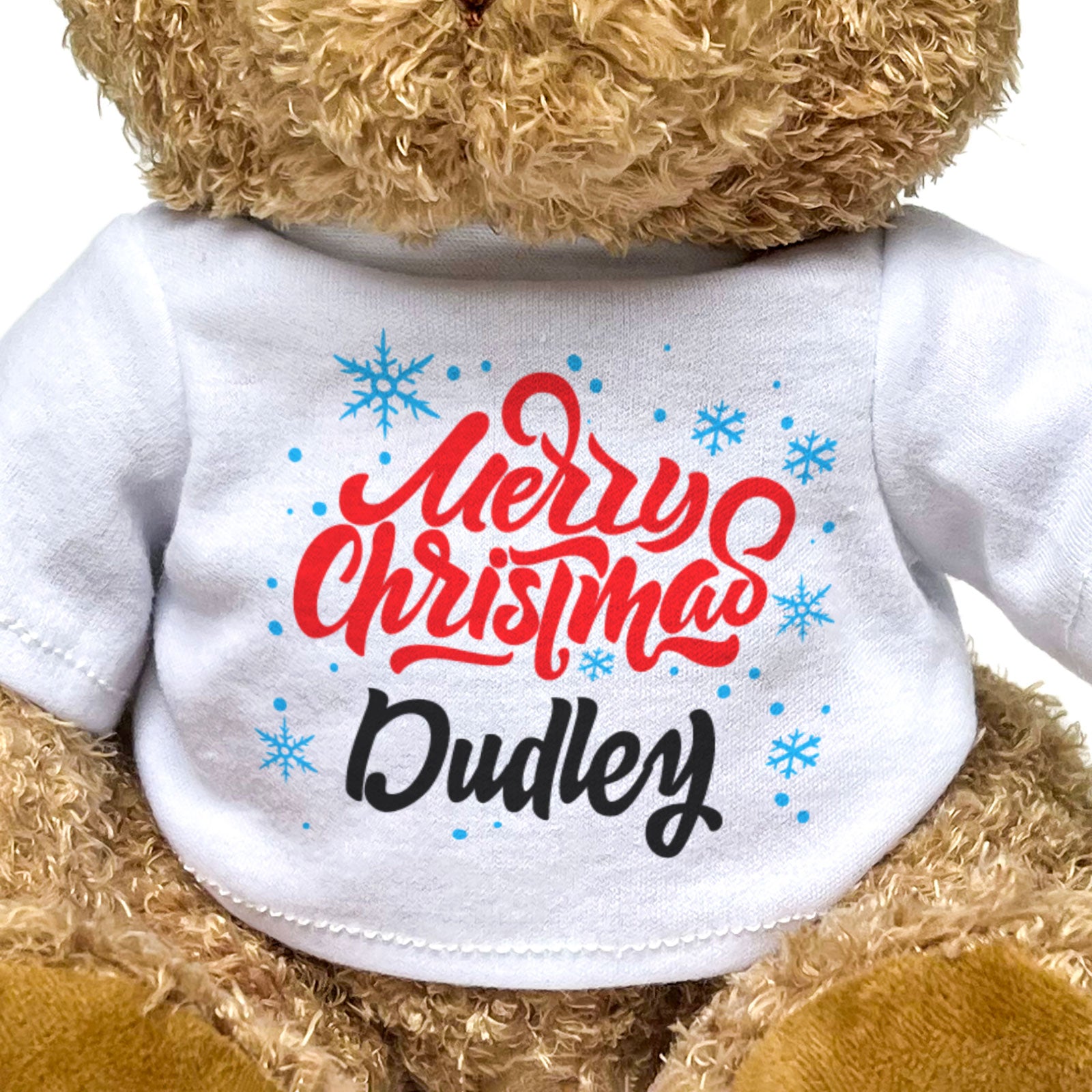 MERRY CHRISTMAS DUDLEY - Teddy Bear - Cute Cuddly Soft - Xmas Gift Present