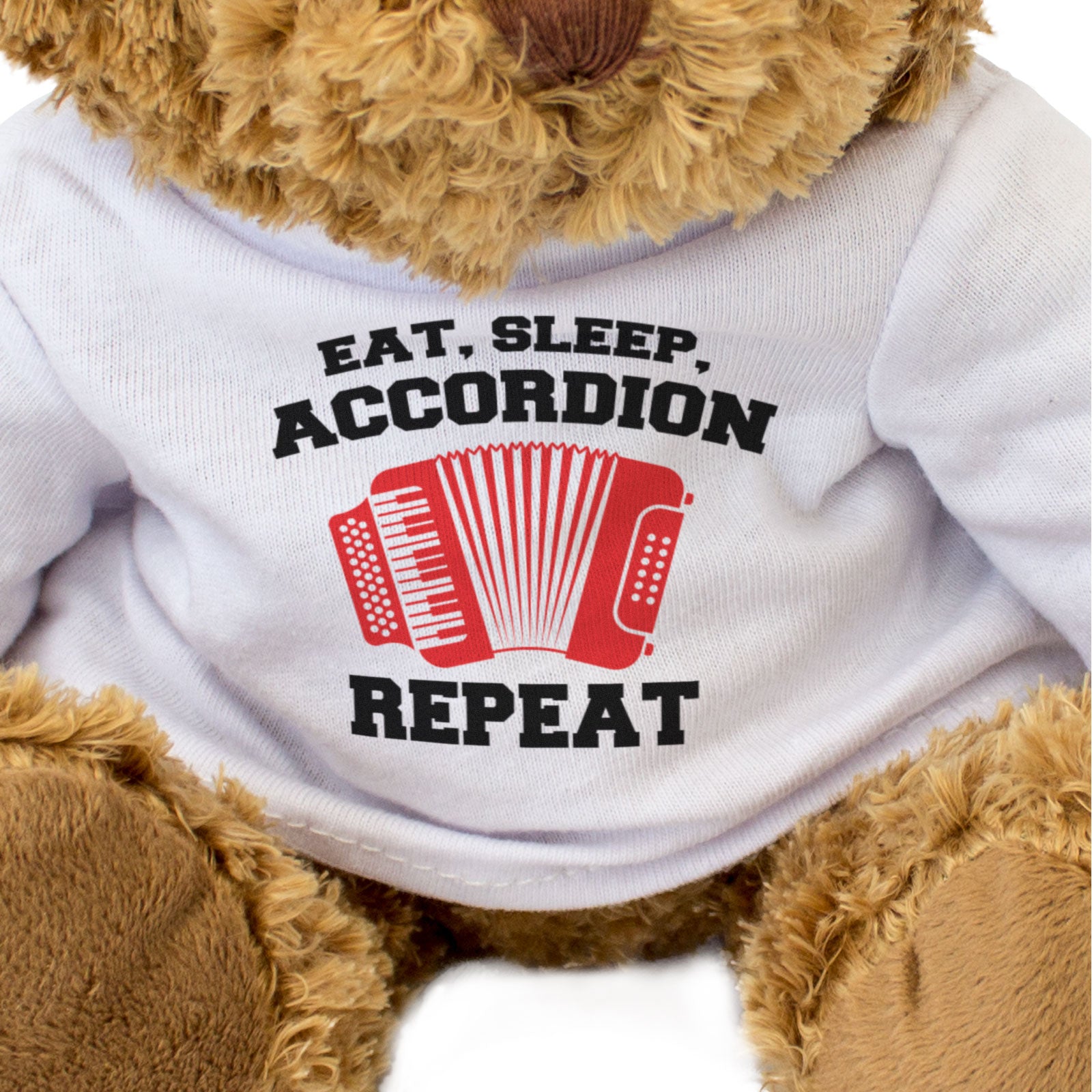 EAT SLEEP ACCORDION REPEAT - Teddy Bear - Funny Music Accordionist Gift Present