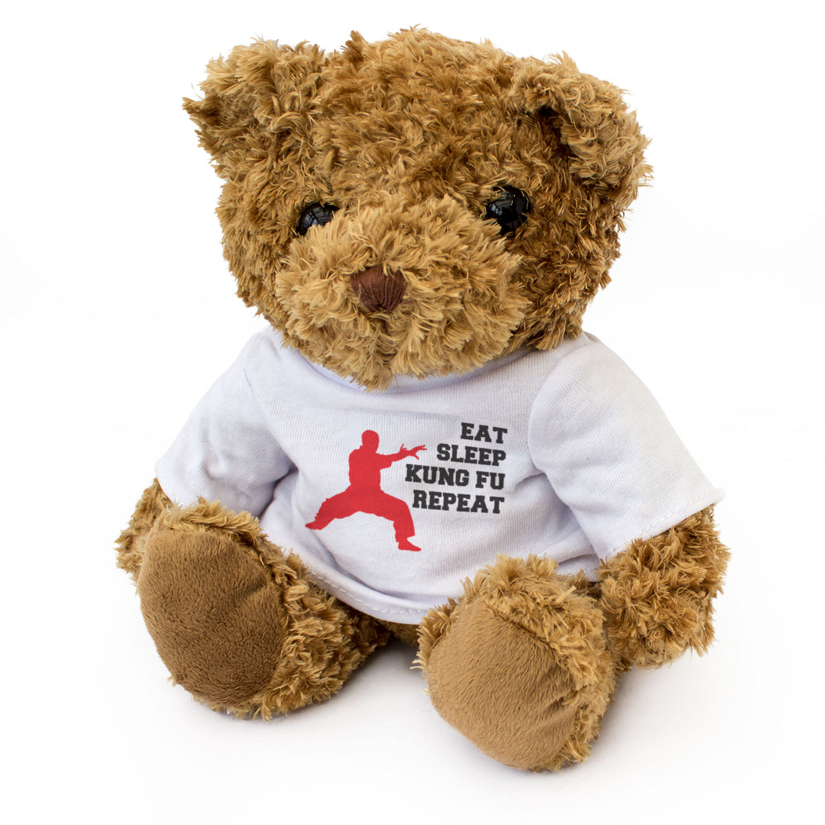 EAT SLEEP KUNG FU REPEAT - Teddy Bear - Cute - Funny Martial Arts Gift Present