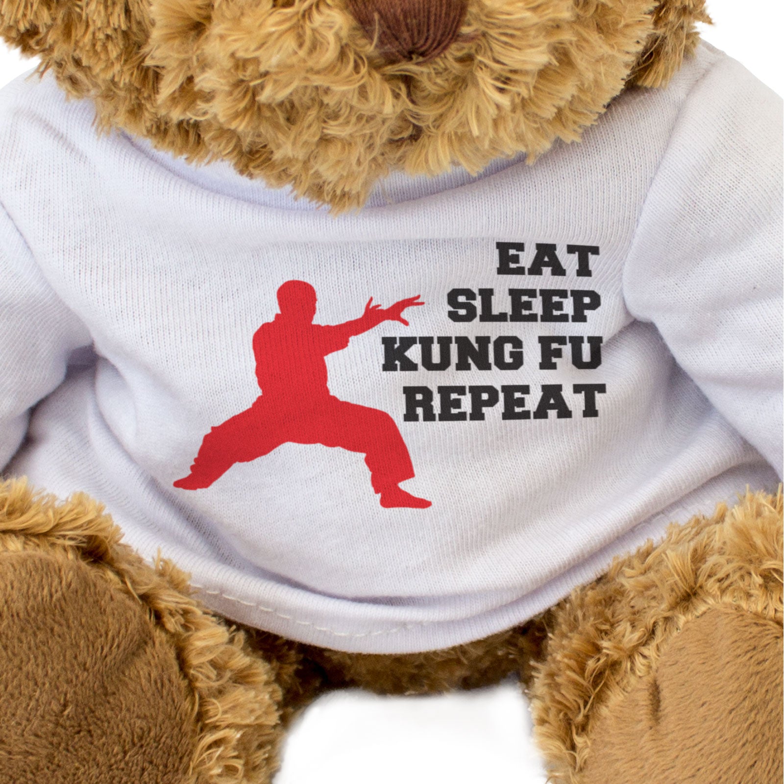 EAT SLEEP KUNG FU REPEAT - Teddy Bear - Cute - Funny Martial Arts Gift Present
