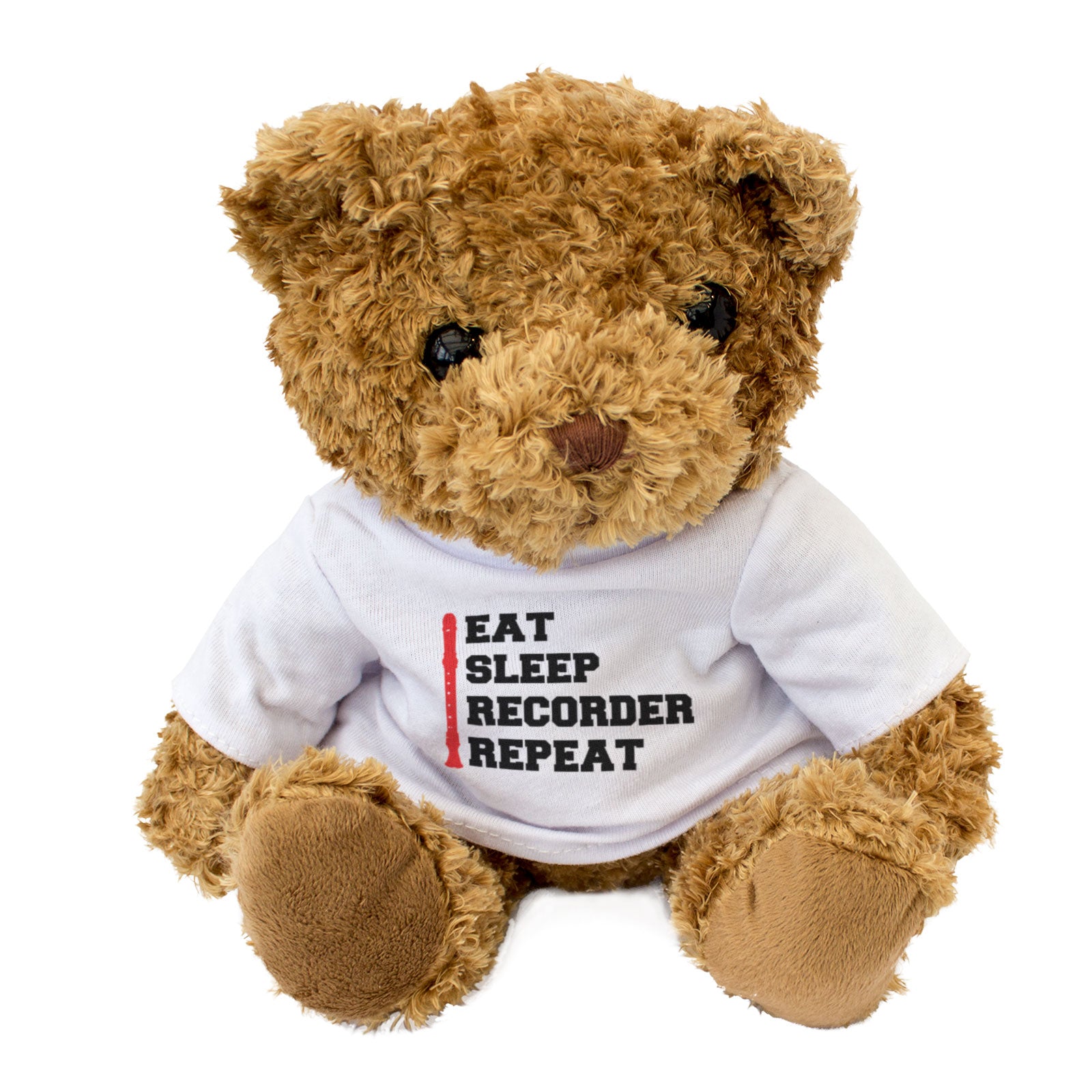 EAT SLEEP RECORDER REPEAT - Teddy Bear - Cute Funny Soft - Music Gift Present