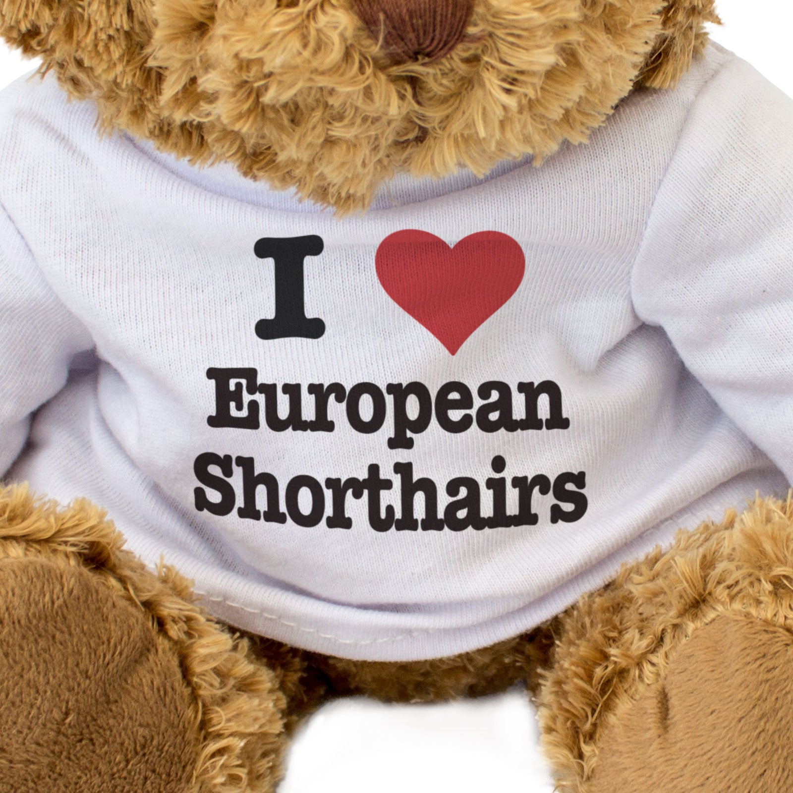 I LOVE EUROPEAN SHORTHAIRS - Teddy Bear - Cute Cuddly Soft - Cats Gift Present