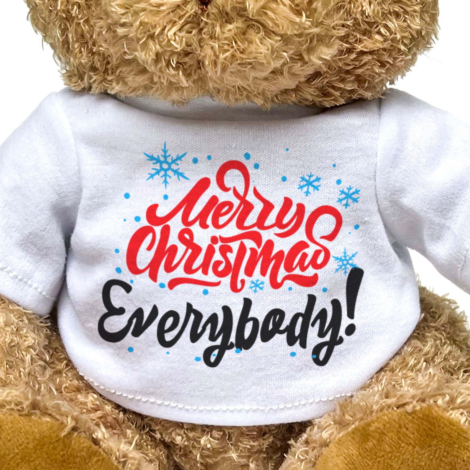 MERRY CHRISTMAS EVERYBODY! - Teddy Bear - Cute Cuddly Soft - Xmas Gift Present