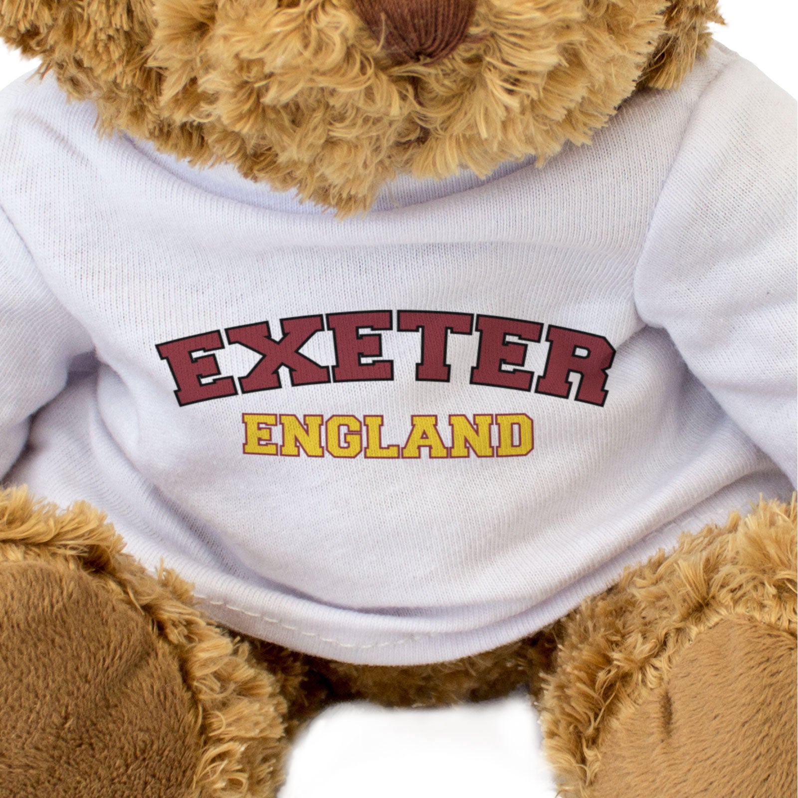 EXETER, ENGLAND - Teddy Bear - Cute Cuddly Soft - Funny Devon Gift Present