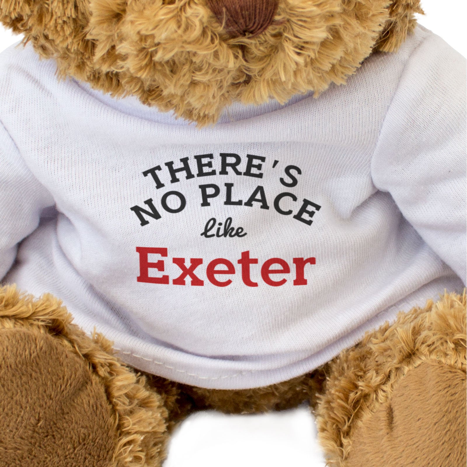 THERE'S NO PLACE LIKE EXETER - Teddy Bear - Cute - Funny Devon Gift Present