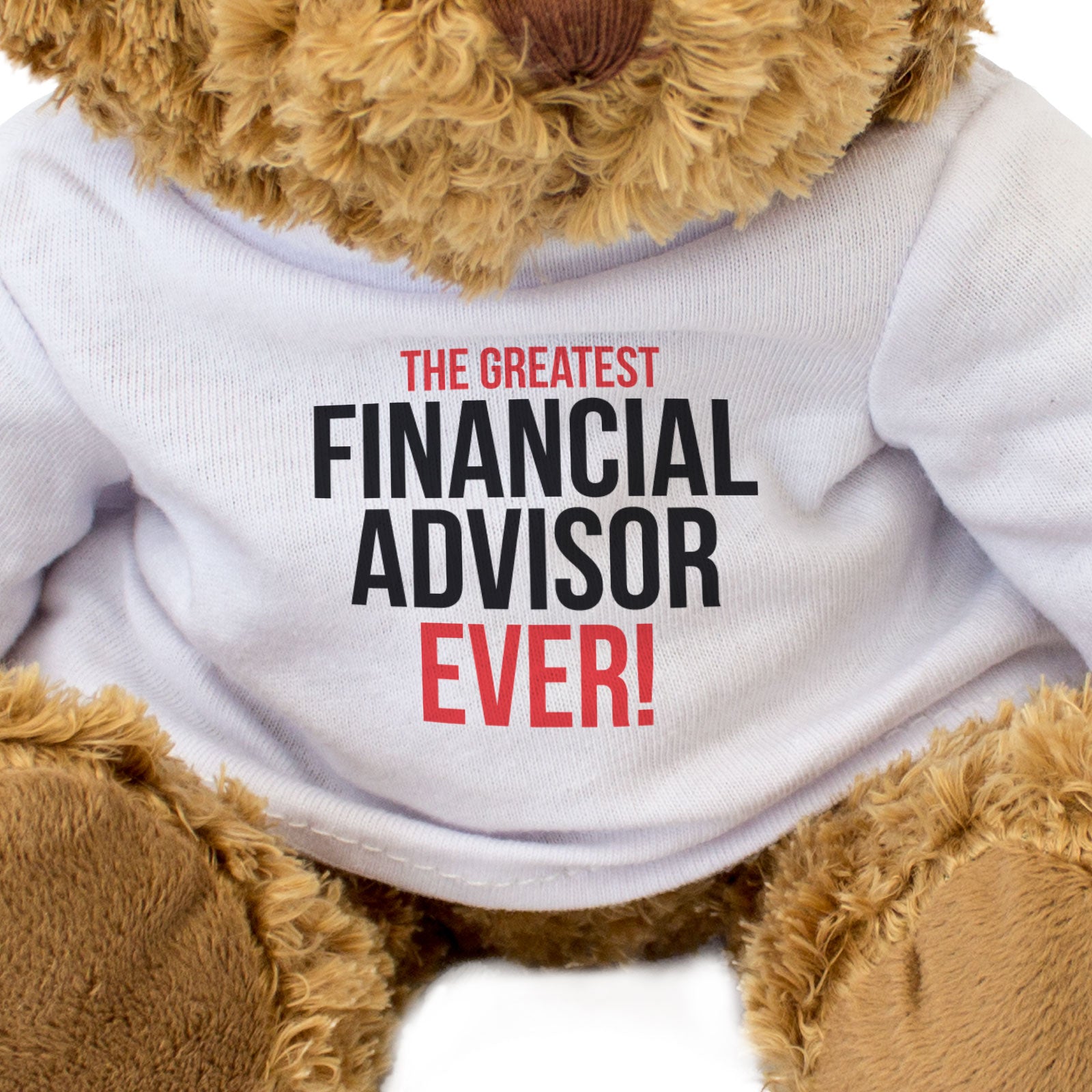 THE GREATEST FINANCIAL ADVISOR EVER - Teddy Bear - Cute Funny - Gift Present