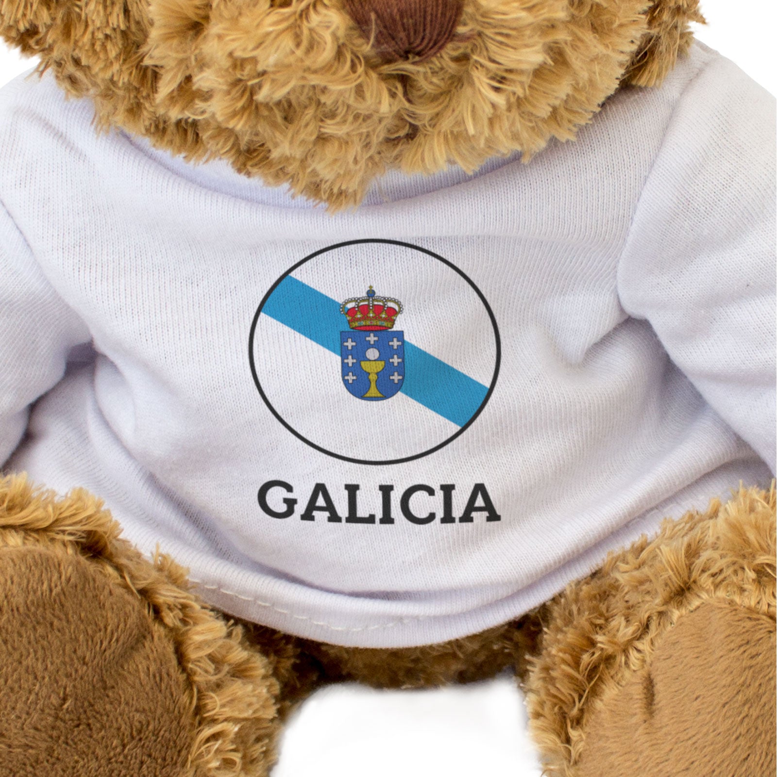 GALICIA FLAG ROUNDEL - Teddy Bear - Cute Cuddly - Spain Souvenir Gift Present