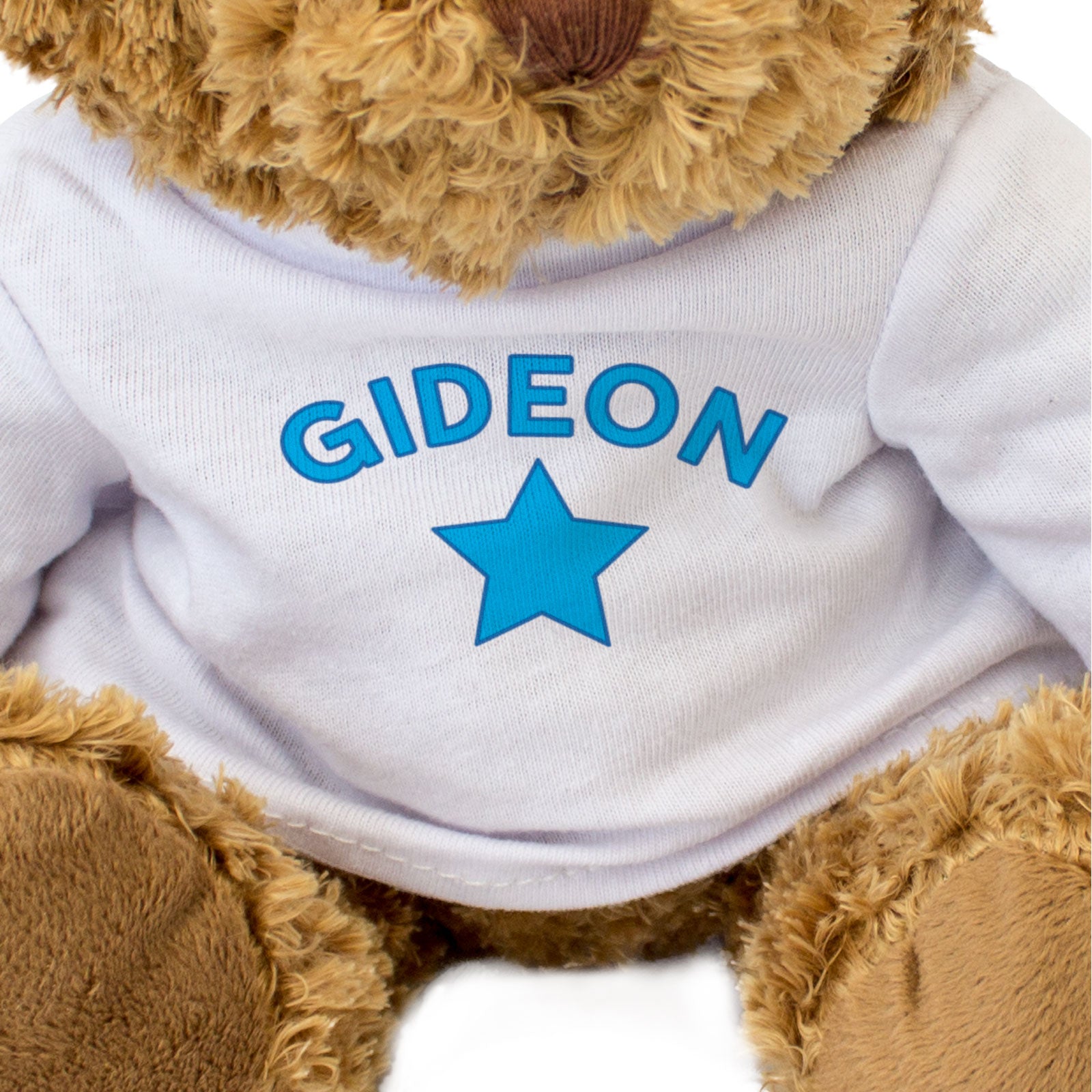 GIDEON - Teddy Bear - Cute Cuddly Soft Adorable - Funny Gift Present