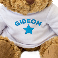 GIDEON - Teddy Bear - Cute Cuddly Soft Adorable - Funny Gift Present
