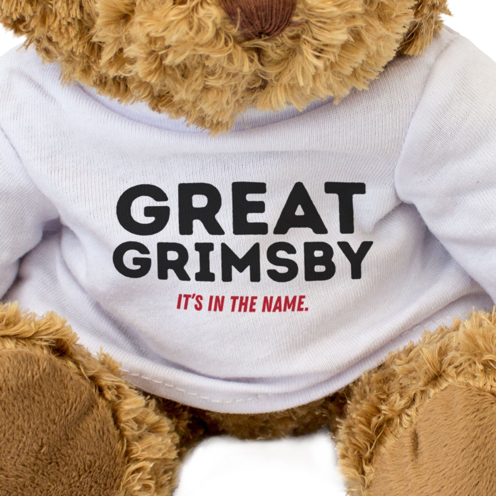 GREAT GRIMSBY: IT'S IN THE NAME - Teddy Bear - Cute Cuddly - Funny Gift Present