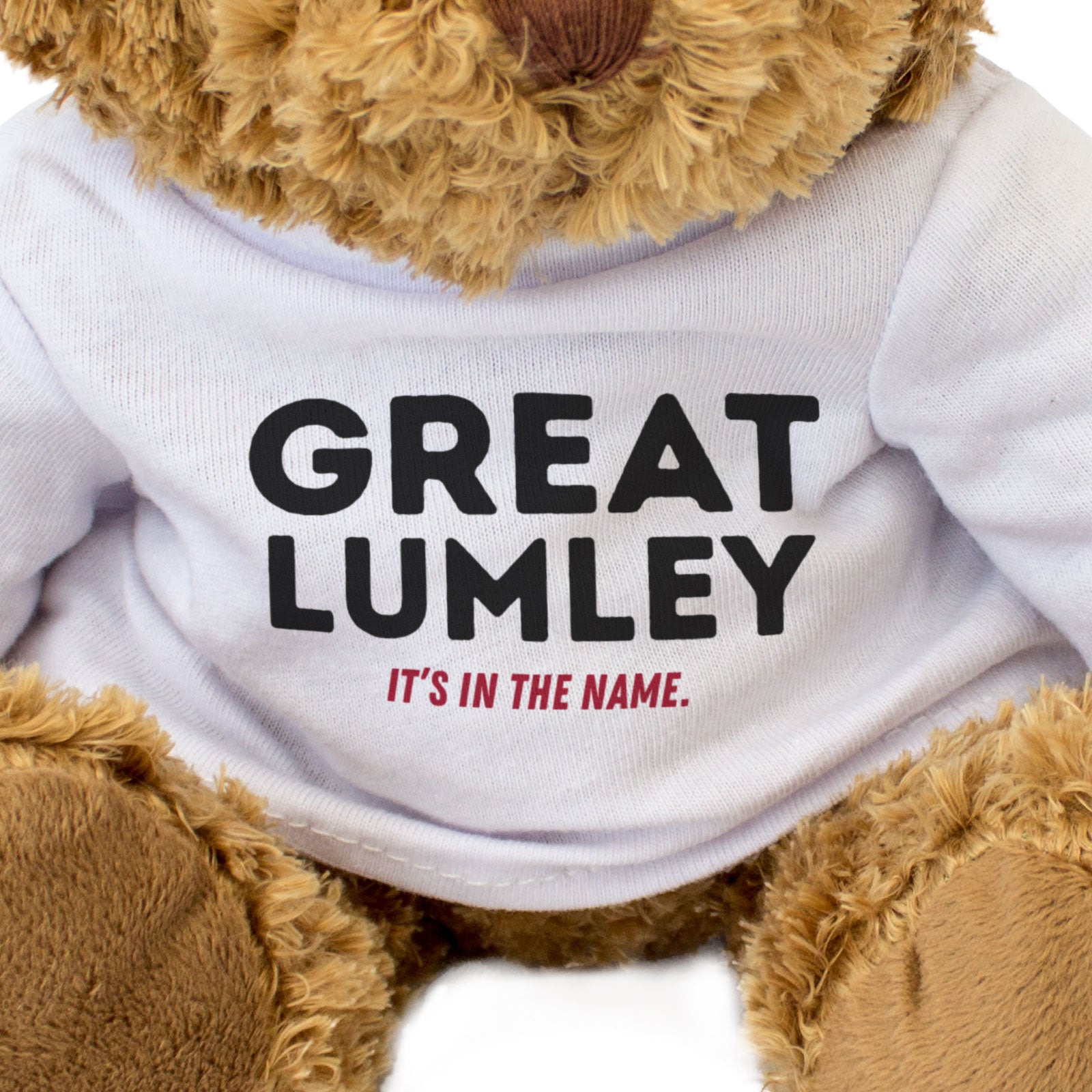GREAT LUMLEY: IT'S IN THE NAME - Teddy Bear - Cute - Funny Durham Gift Present