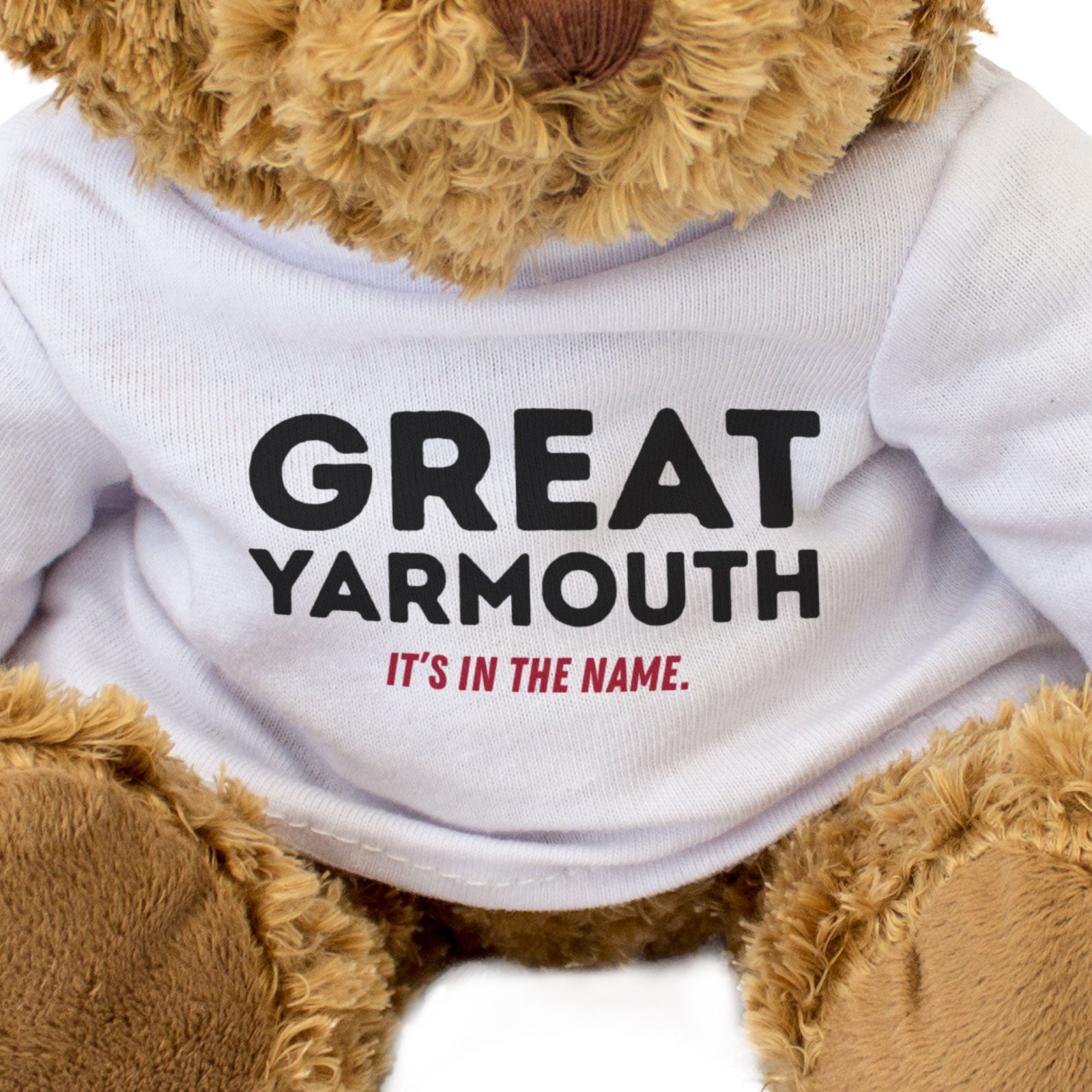 GREAT YARMOUTH: IT'S IN THE NAME - Teddy Bear - Funny Norfolk Gift Present