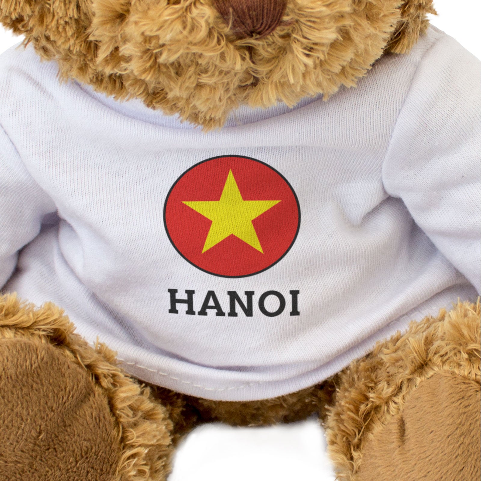 HANOI (VIETNAM FLAG ROUNDEL) - Teddy Bear - Funny Souvenir Gift Present