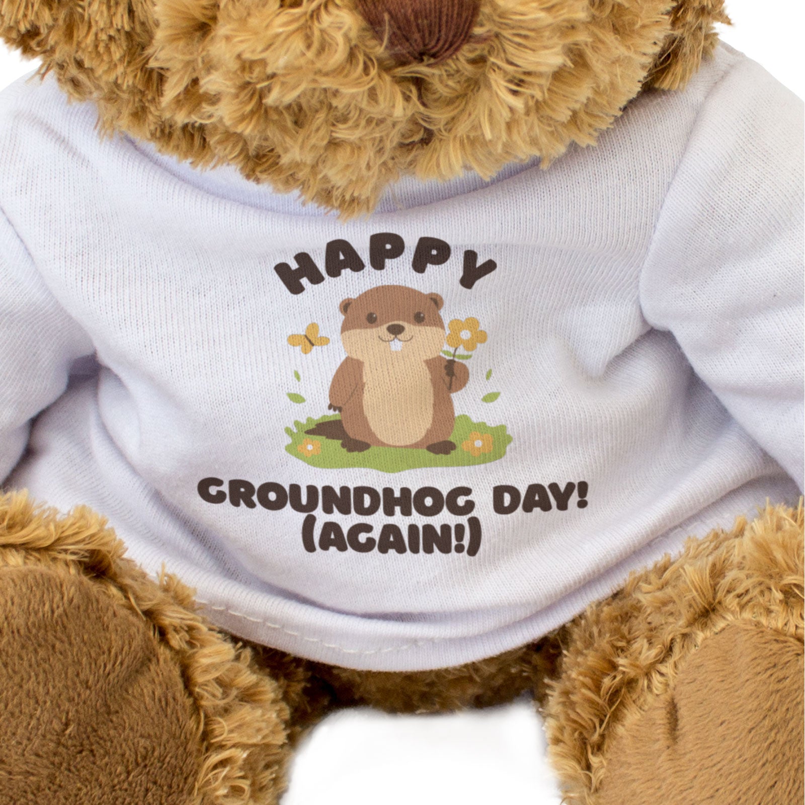 HAPPY GROUNDHOG DAY (AGAIN!) - Teddy Bear - Funny February 2nd Gift Present