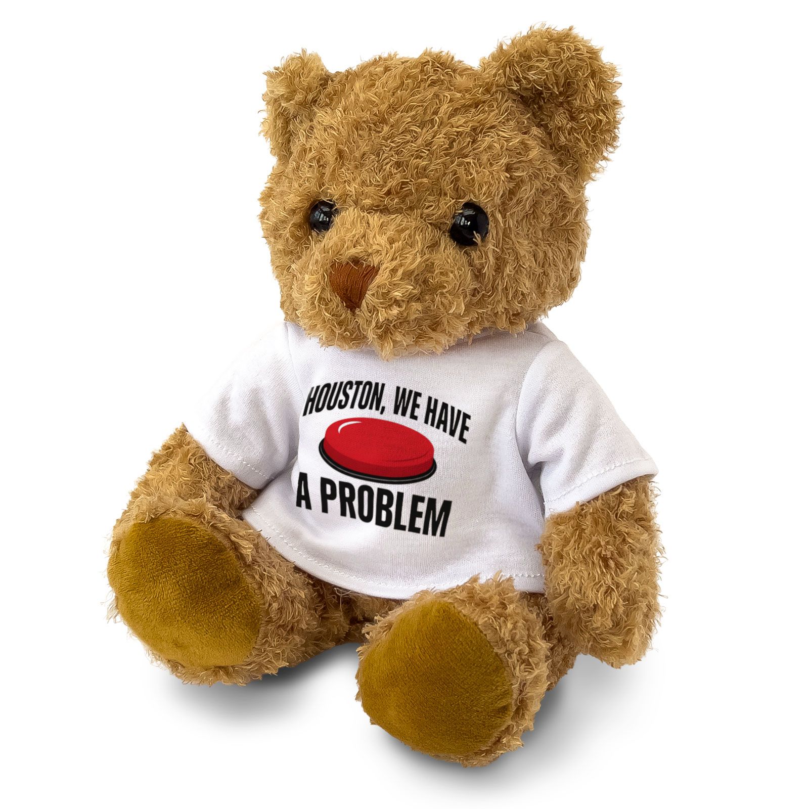 HOUSTON WE HAVE A PROBLEM (BIG RED BUTTON) - Teddy Bear - Funny Gift Present