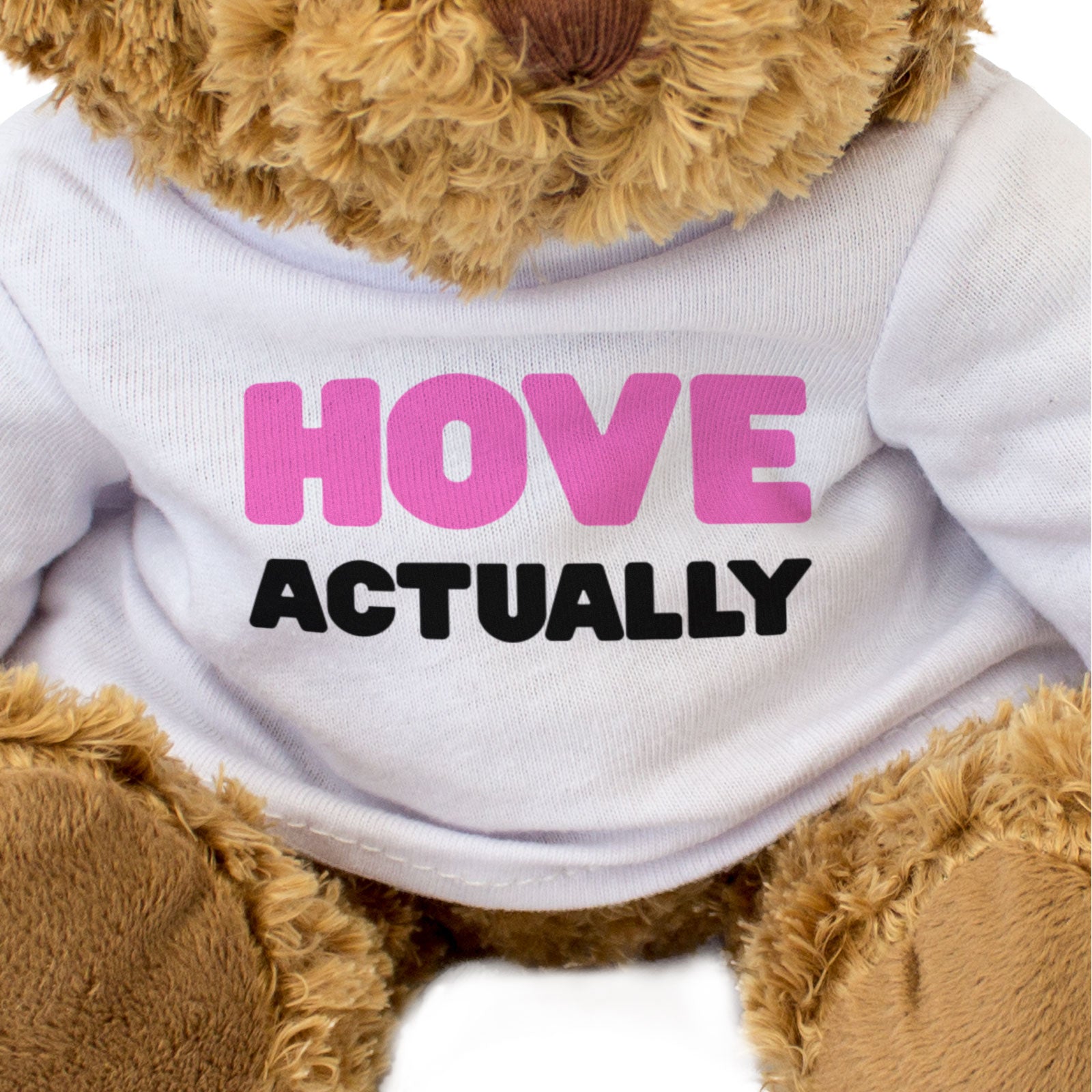 HOVE ACTUALLY - Teddy Bear - Cute Cuddly Soft - Funny Brighton Gift Present