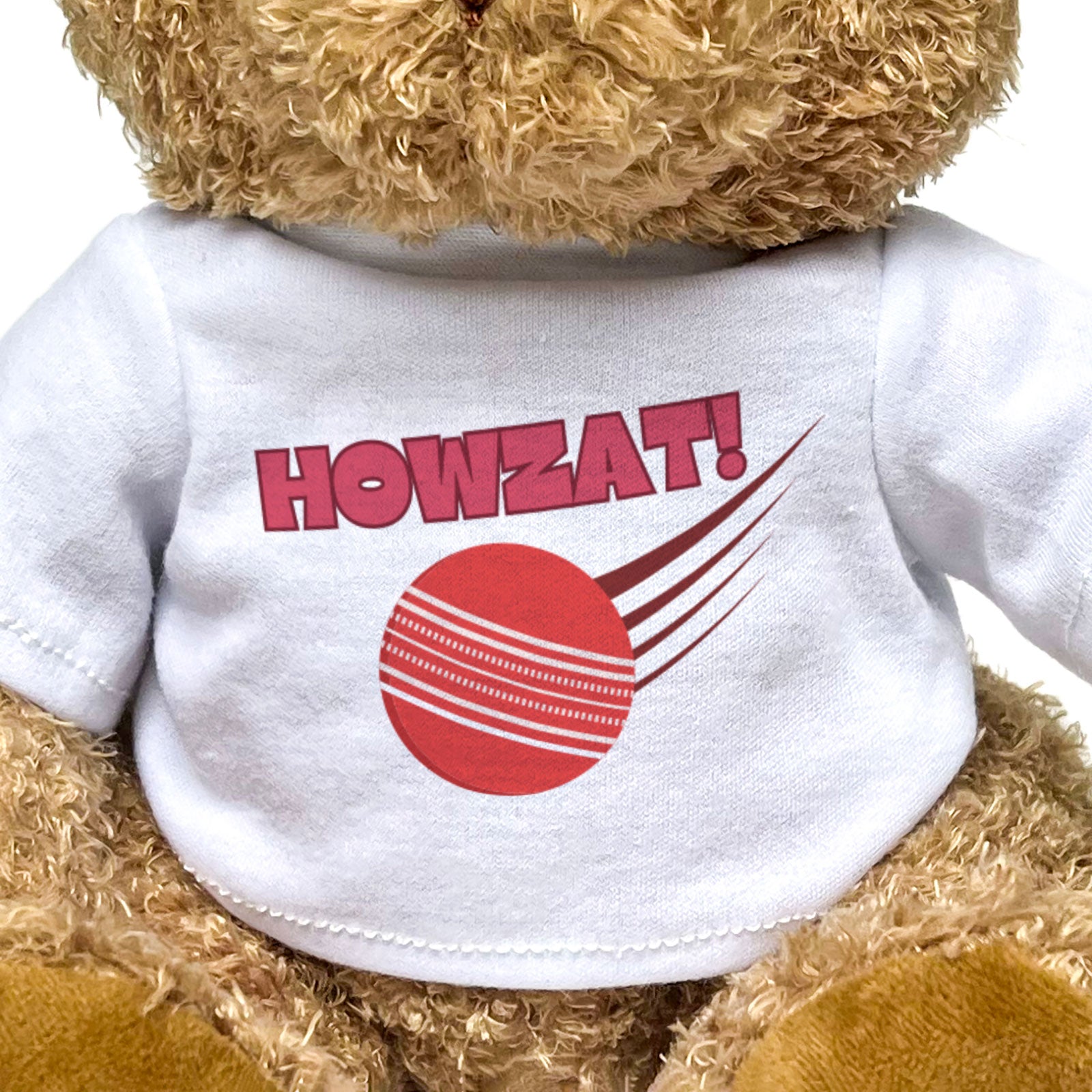 HOWZAT! - Teddy Bear - Cute Cuddly Soft - Funny Cricket Player Gift Present