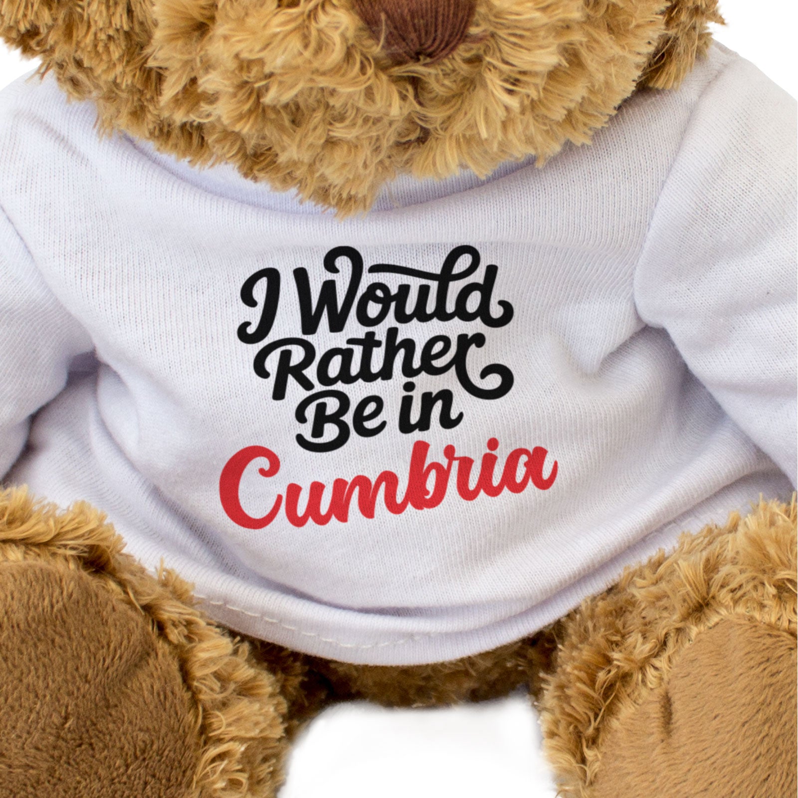 I WOULD RATHER BE IN CUMBRIA - Teddy Bear - Cute Cuddly - Funny Gift Present
