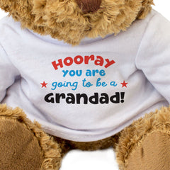 HOORAY YOU ARE GOING TO BE A GRANDAD - Cute Cuddly - Teddy Bear - Gift Present