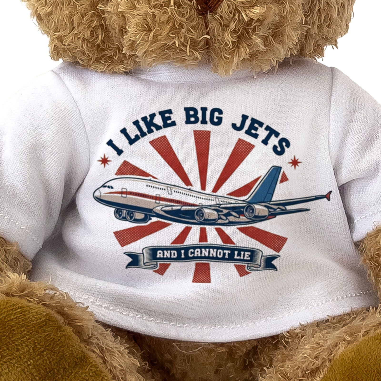 I LIKE BIG JETS AND I CANNOT LIE - Teddy Bear - Cute Funny - Planes Gift Present
