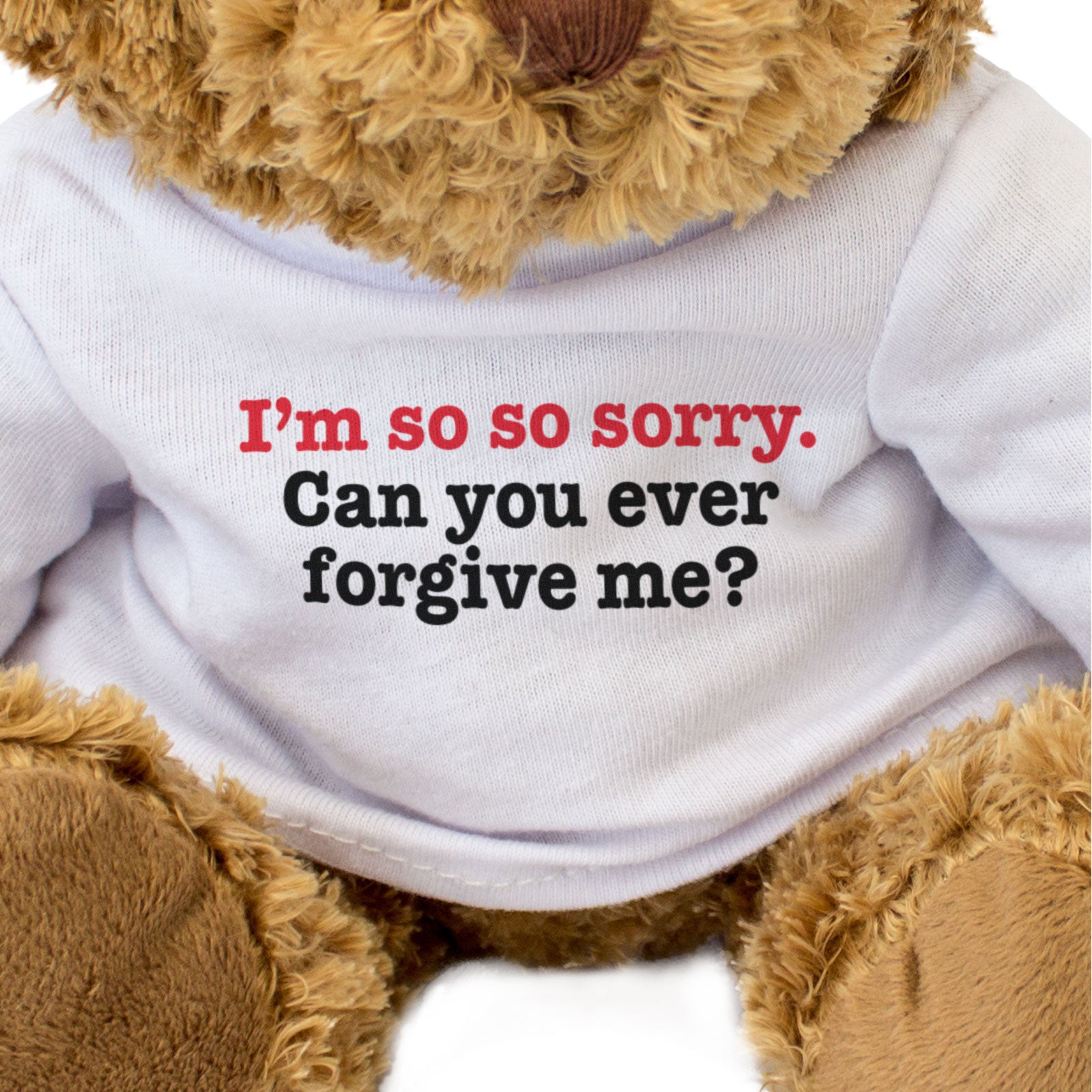 I'M SO SO SORRY CAN YOU EVER FORGIVE ME? - Teddy Bear - Apology Gift Present