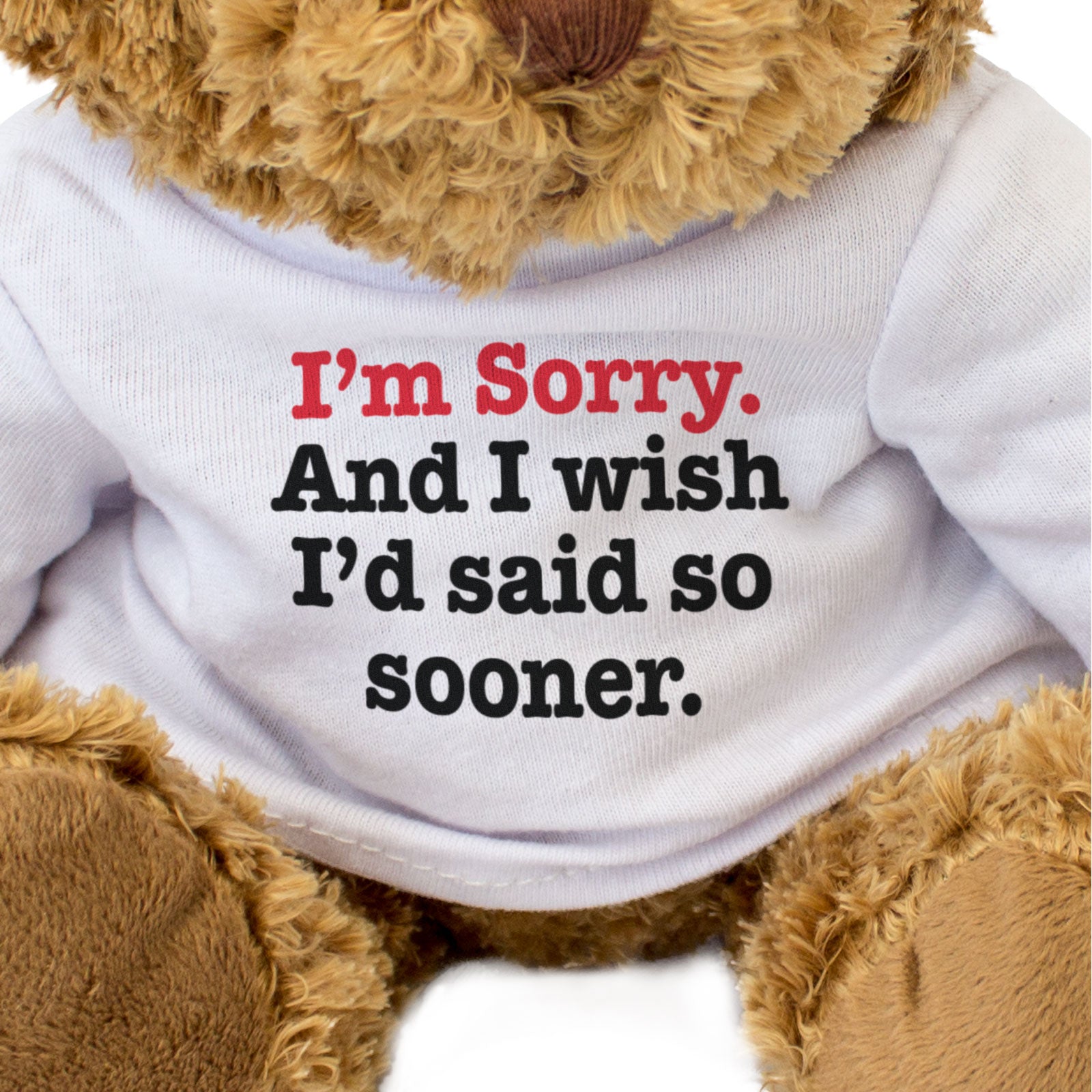 I'M SORRY AND I WISH I'D SAID SO SOONER - Teddy Bear - Apology Gift Present