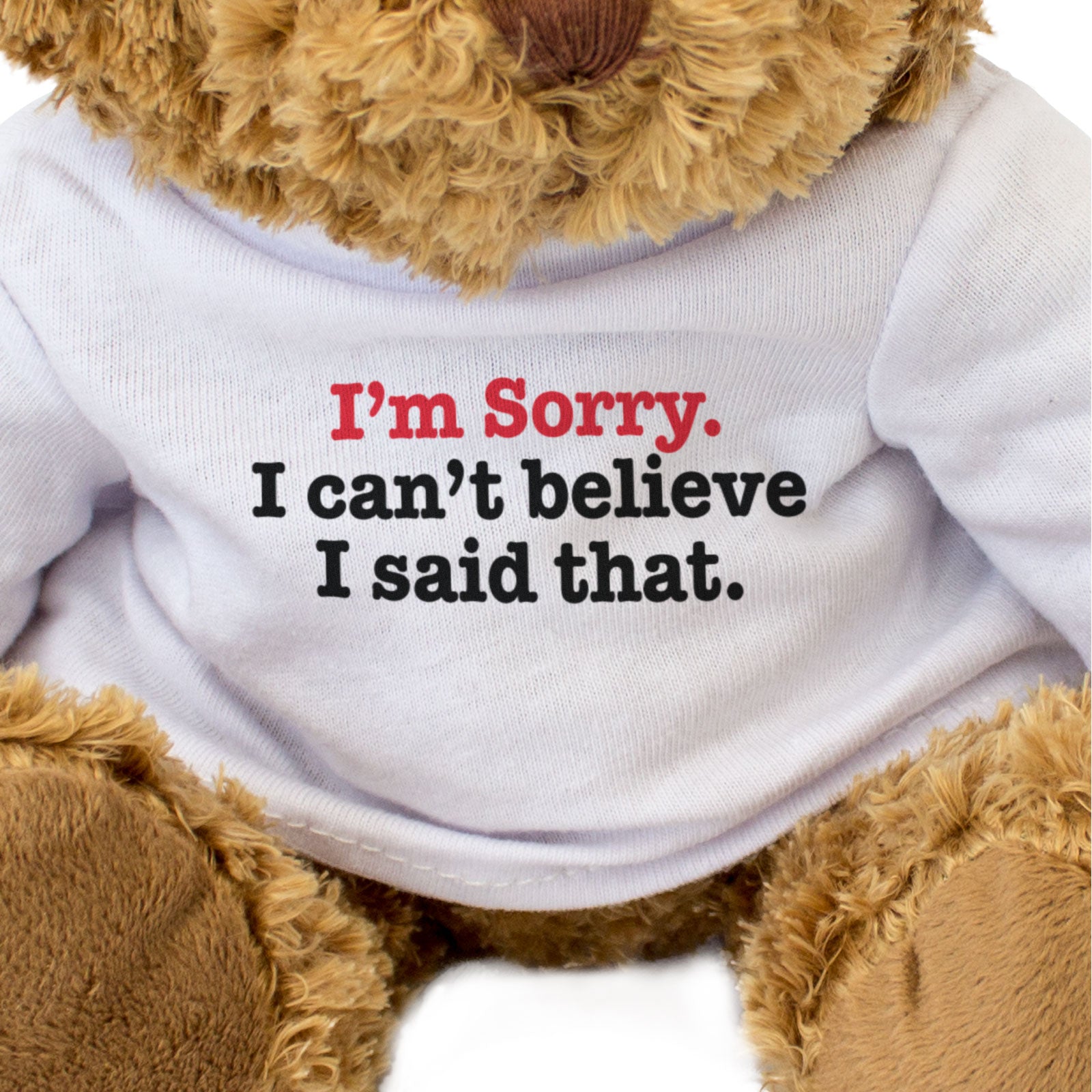 I'M SORRY I CAN'T BELIEVE I SAID THAT - Teddy Bear - Cute - Apology Gift Present