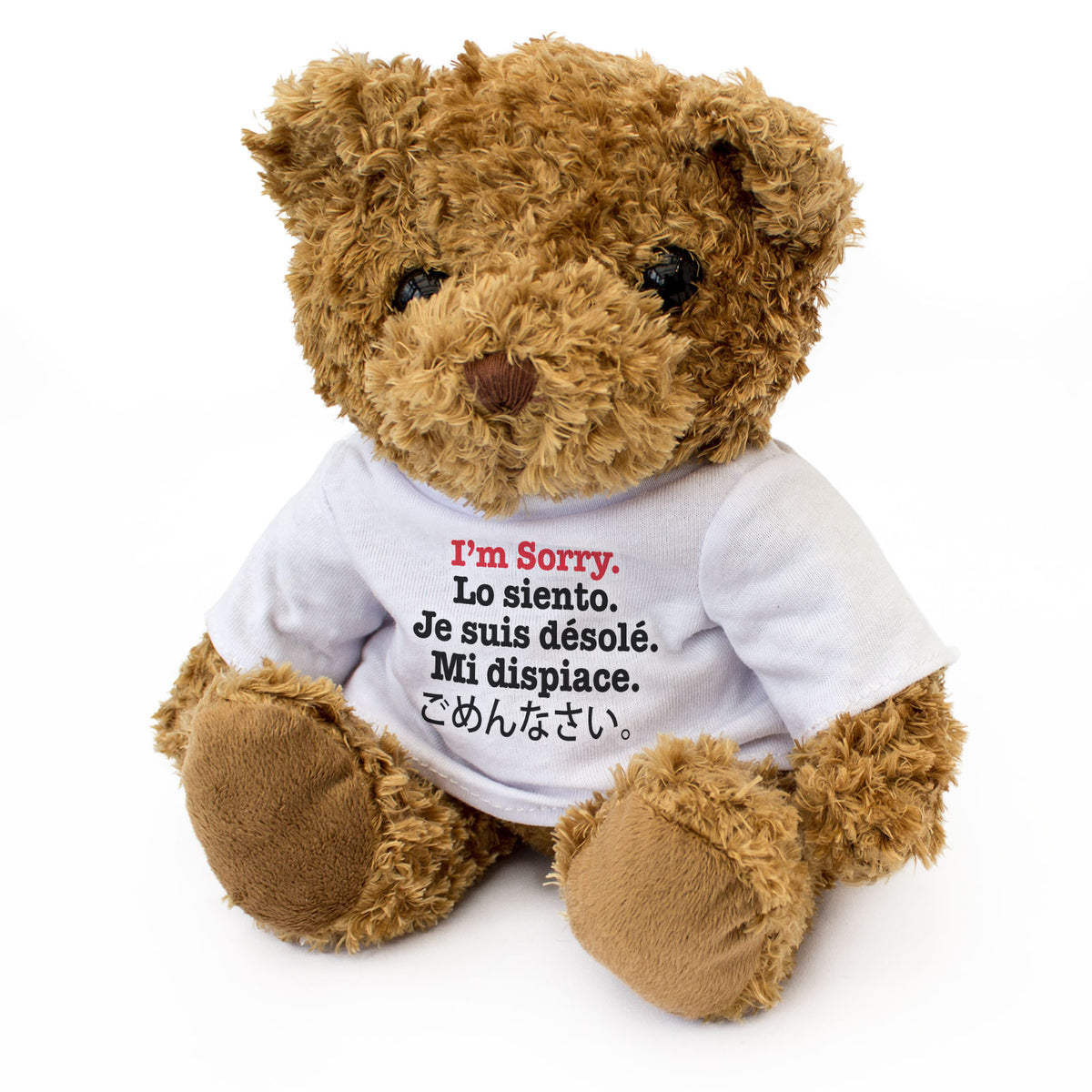 I'M SORRY LO SIENTO JE SUIS DÉSOLÉ MI DISPIACE ごめんなさい - Apology Teddy Bear Gift