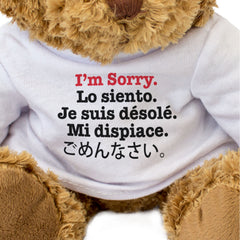 I'M SORRY LO SIENTO JE SUIS DÉSOLÉ MI DISPIACE ごめんなさい - Apology Teddy Bear Gift