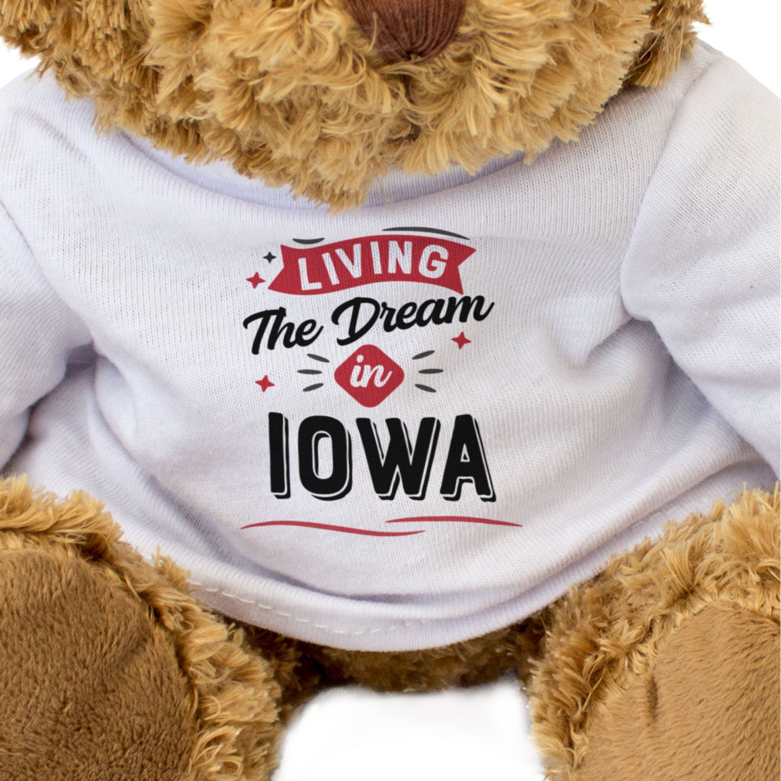 LIVING THE DREAM IN IOWA - Teddy Bear - Cute Cuddly - Funny Gift Present