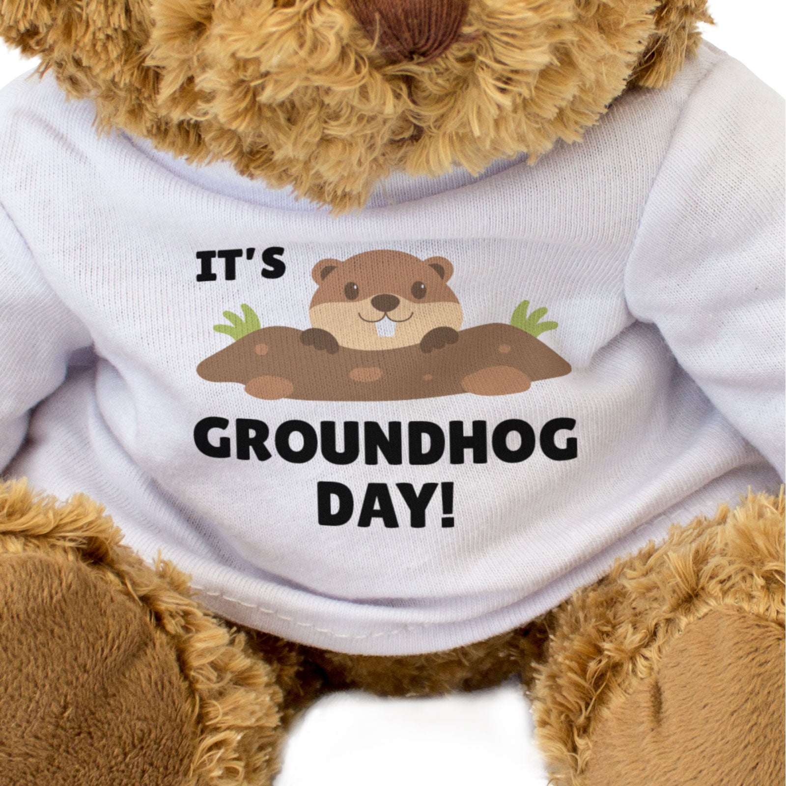IT'S GROUNDHOG DAY! - Teddy Bear - Cute Cuddly - Funny February 2nd Gift Present