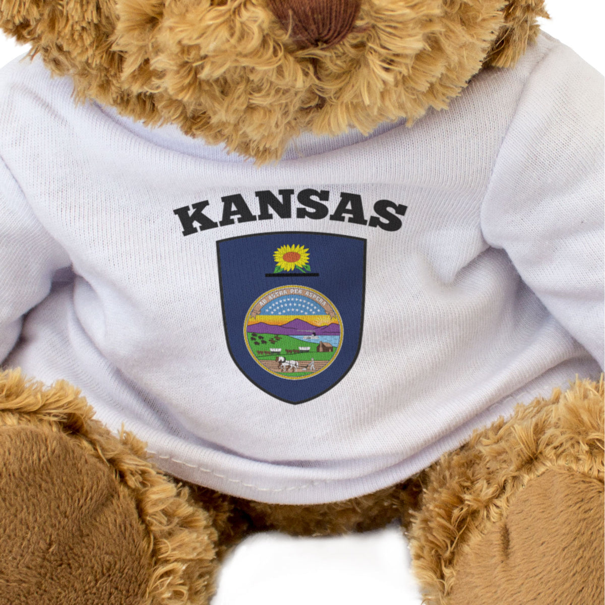 Kansas Flag - Teddy Bear - Gift Present