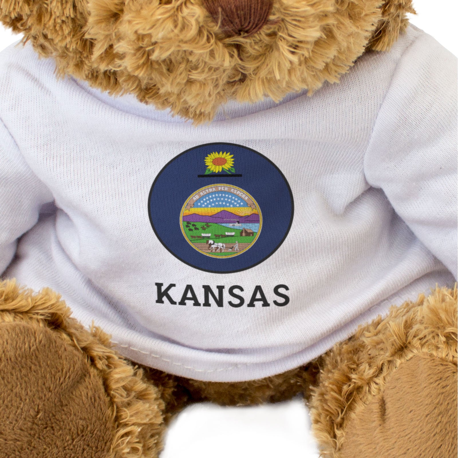 KANSAS FLAG ROUNDEL - Teddy Bear - Cute Cuddly Soft - USA Gift Present