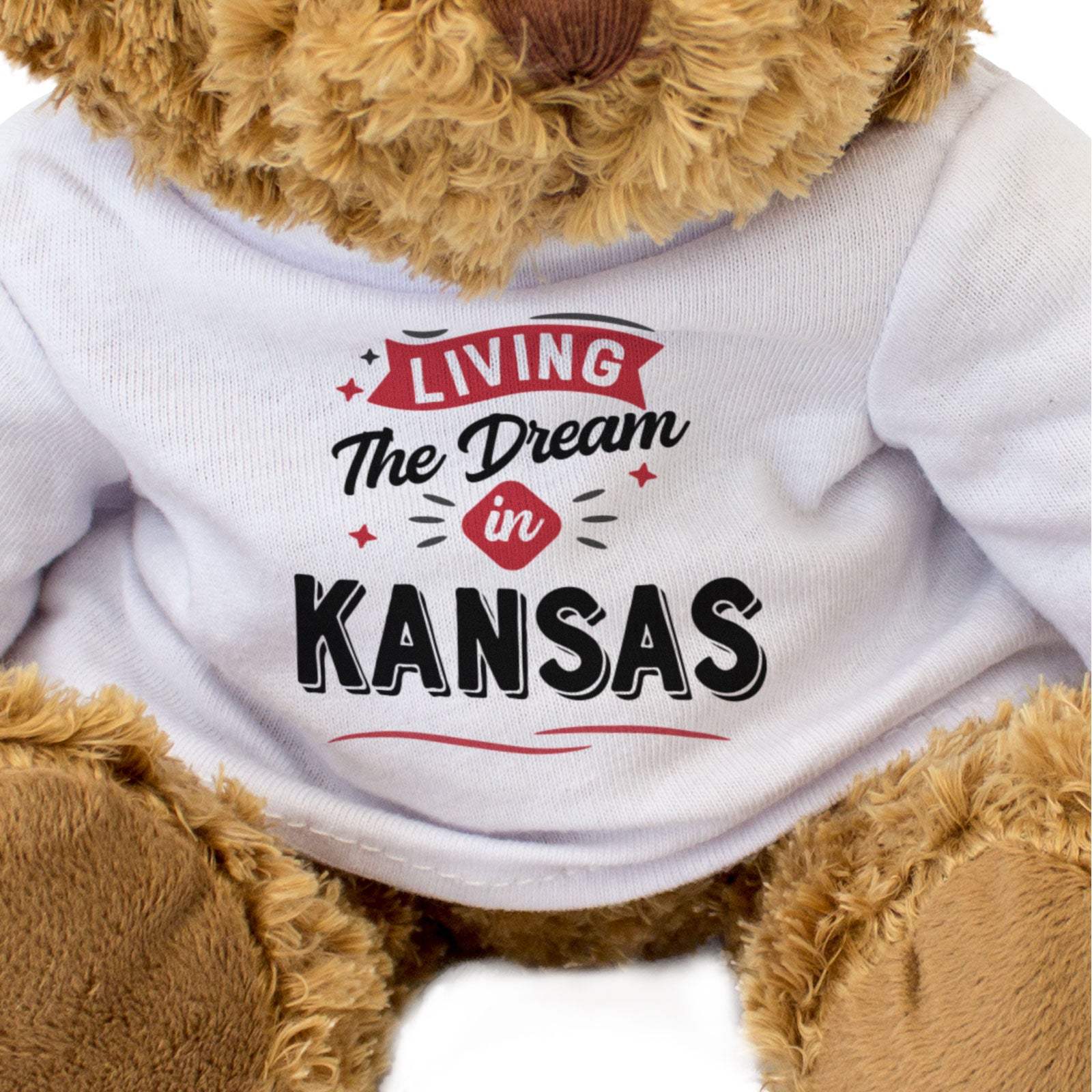 LIVING THE DREAM IN KANSAS - Teddy Bear - Cute Cuddly - Funny Gift Present