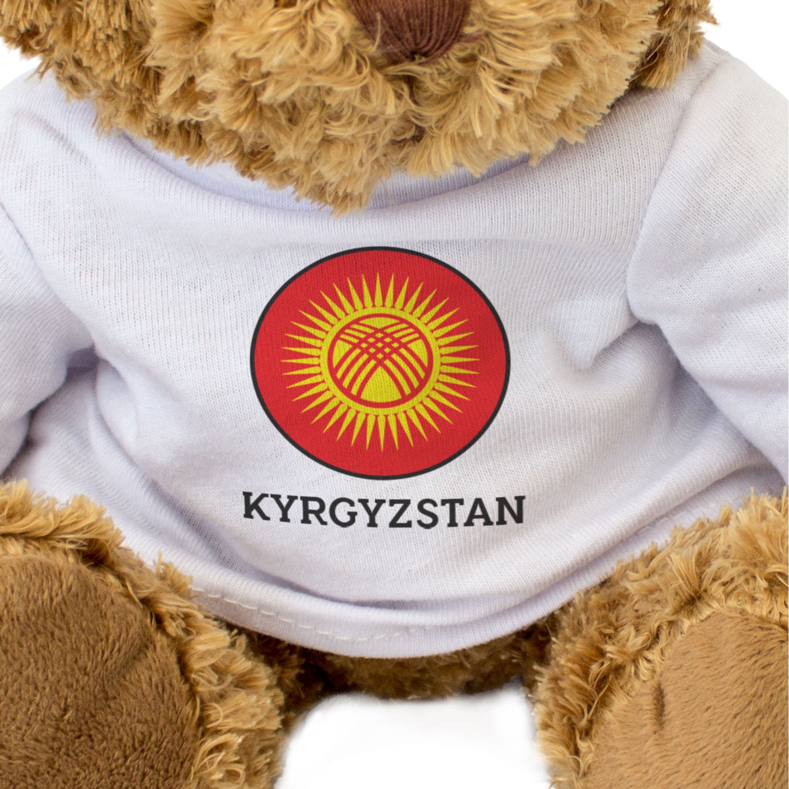 KYRGYZSTAN FLAG ROUNDEL - Teddy Bear - Cute Cuddly Soft - Kyrgyz Gift Present