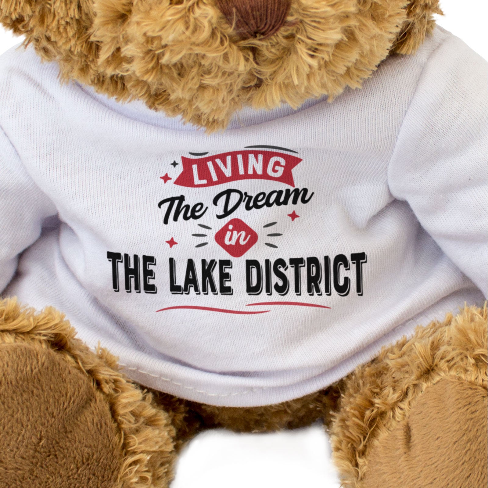 LIVING THE DREAM IN THE LAKE DISTRICT - Teddy Bear - Cute - Funny Gift Present