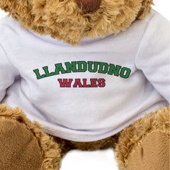 LLANDUDNO, WALES - Teddy Bear - Cute Cuddly Soft Adorable - Welsh Gift Present