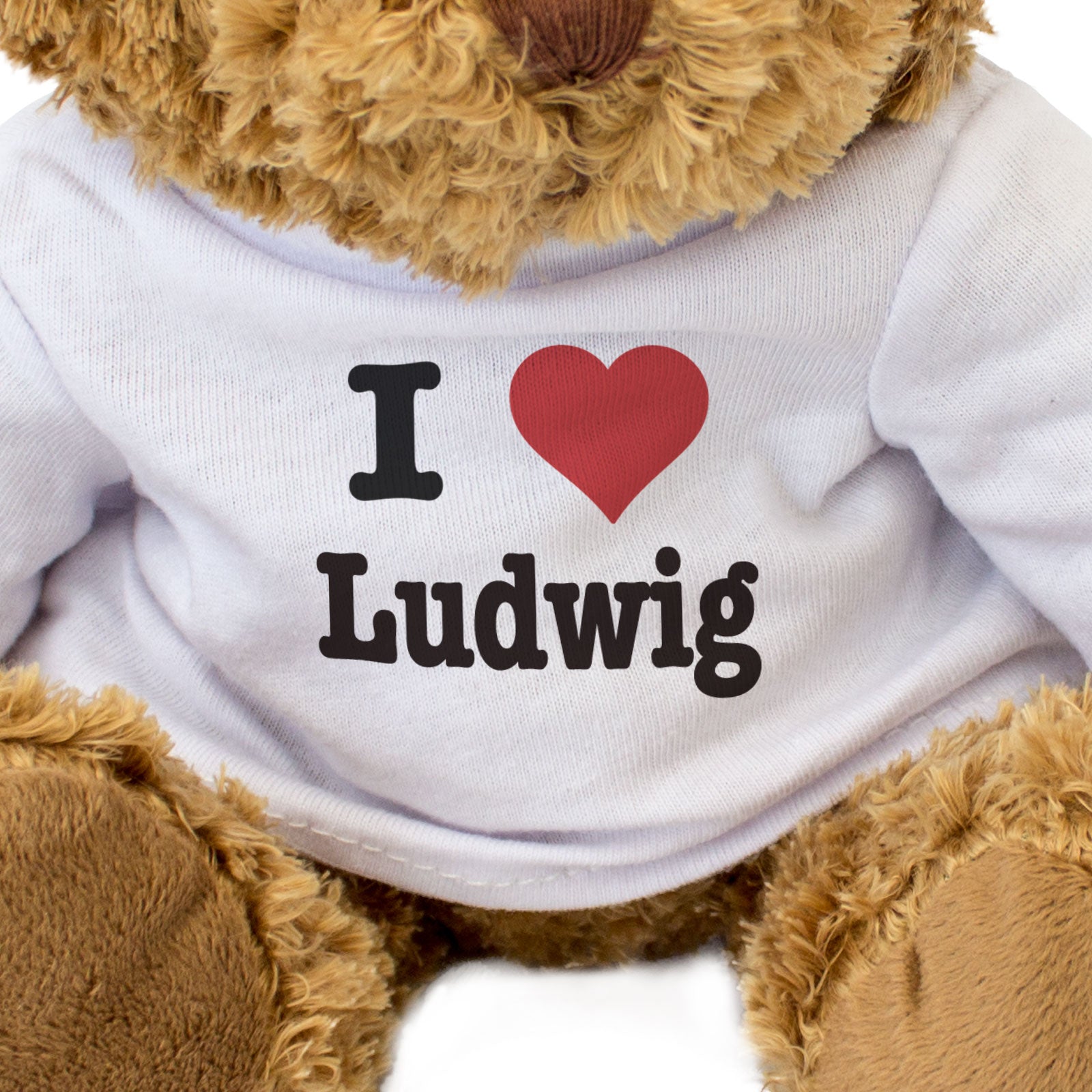 I LOVE LUDWIG - Teddy Bear - Cute Cuddly Soft Adorable - Funny Gift Present