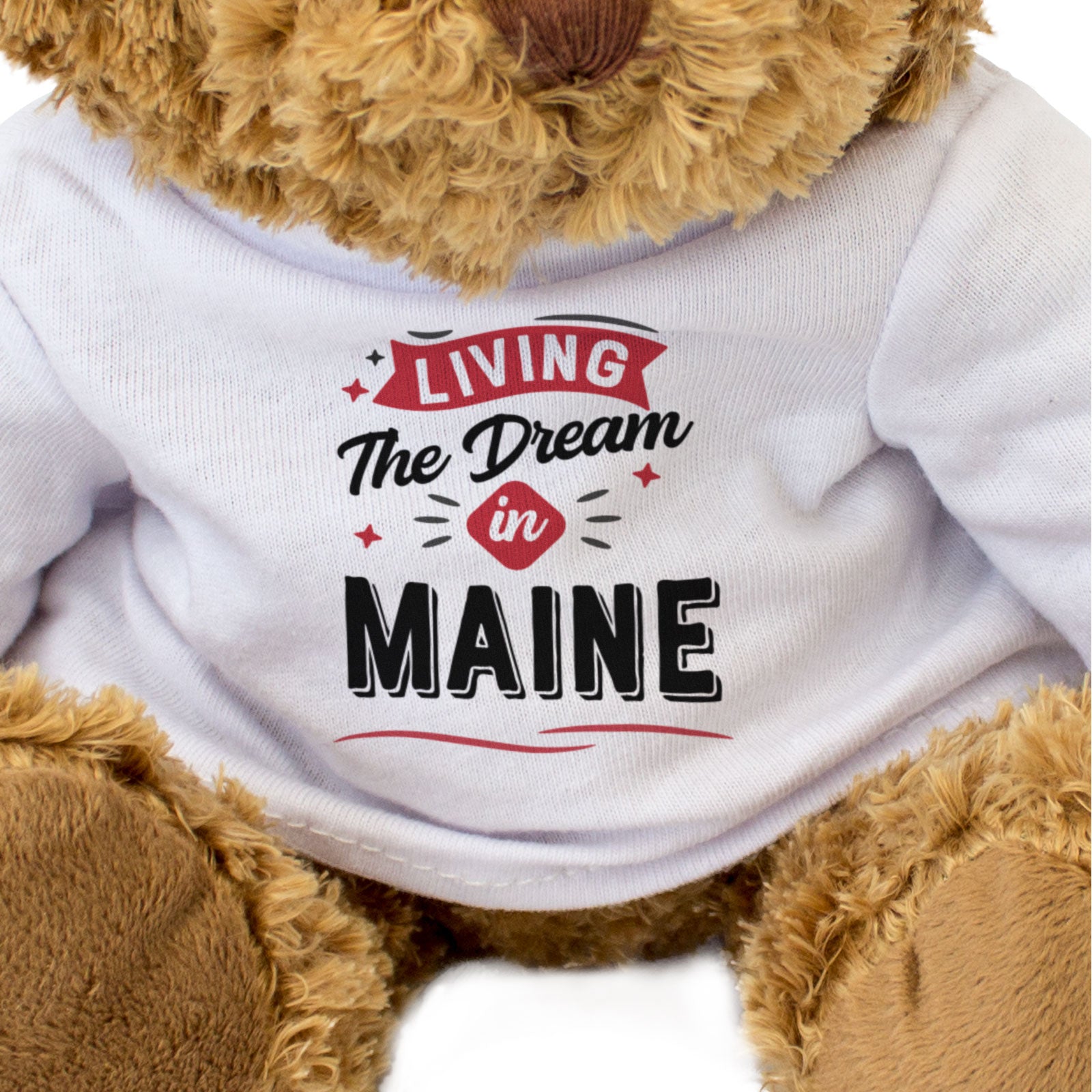 LIVING THE DREAM IN MAINE - Teddy Bear - Cute Cuddly - Funny Gift Present
