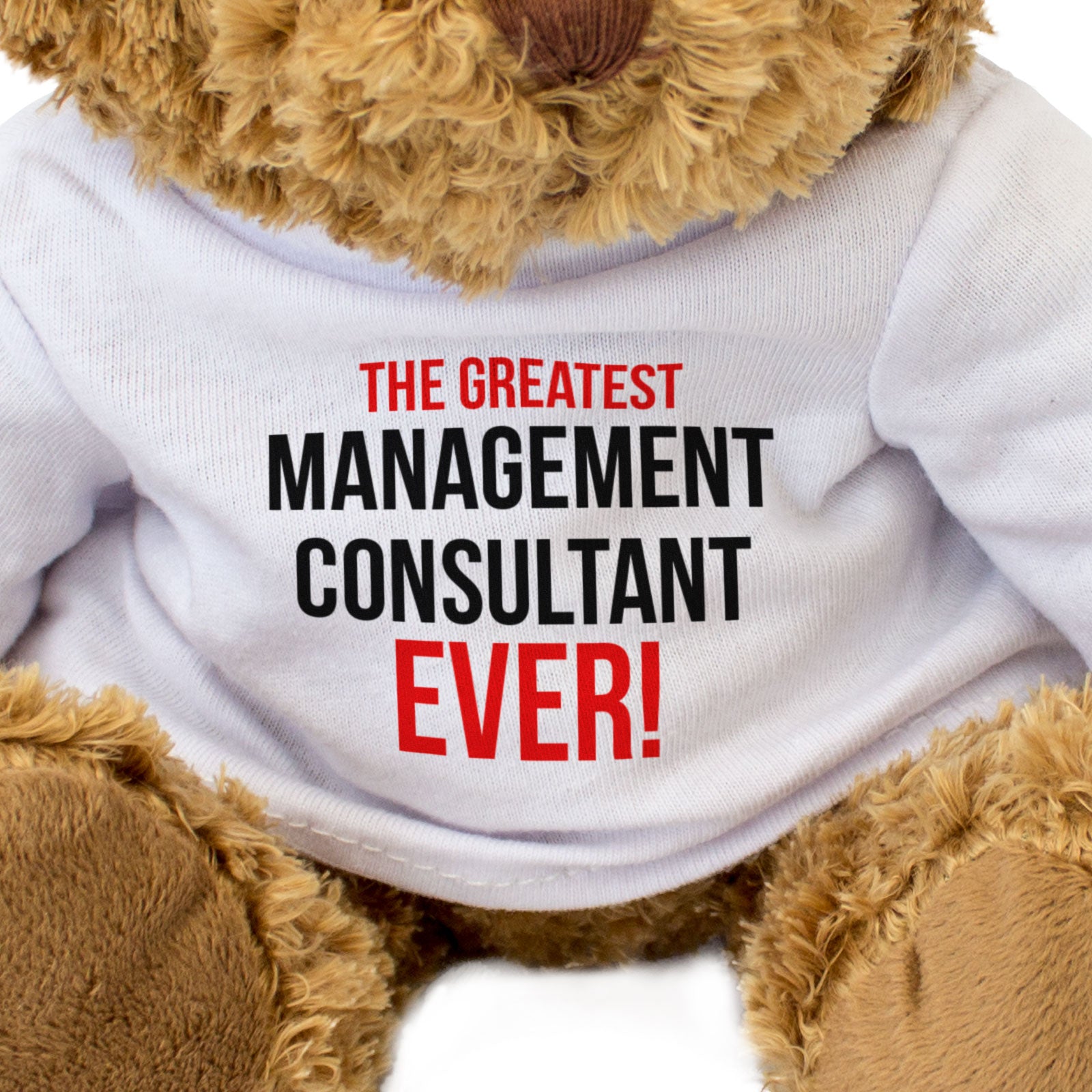 THE GREATEST MANAGEMENT CONSULTANT EVER - Teddy Bear - Funny Gift Present