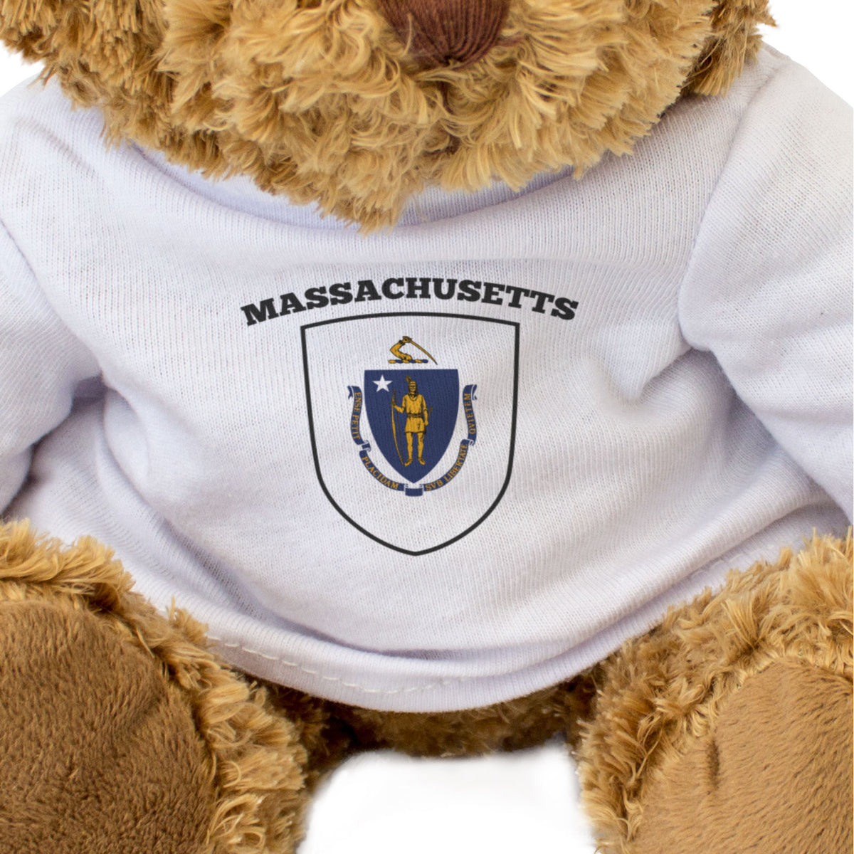 Massachusetts Flag - Teddy Bear - Gift Present