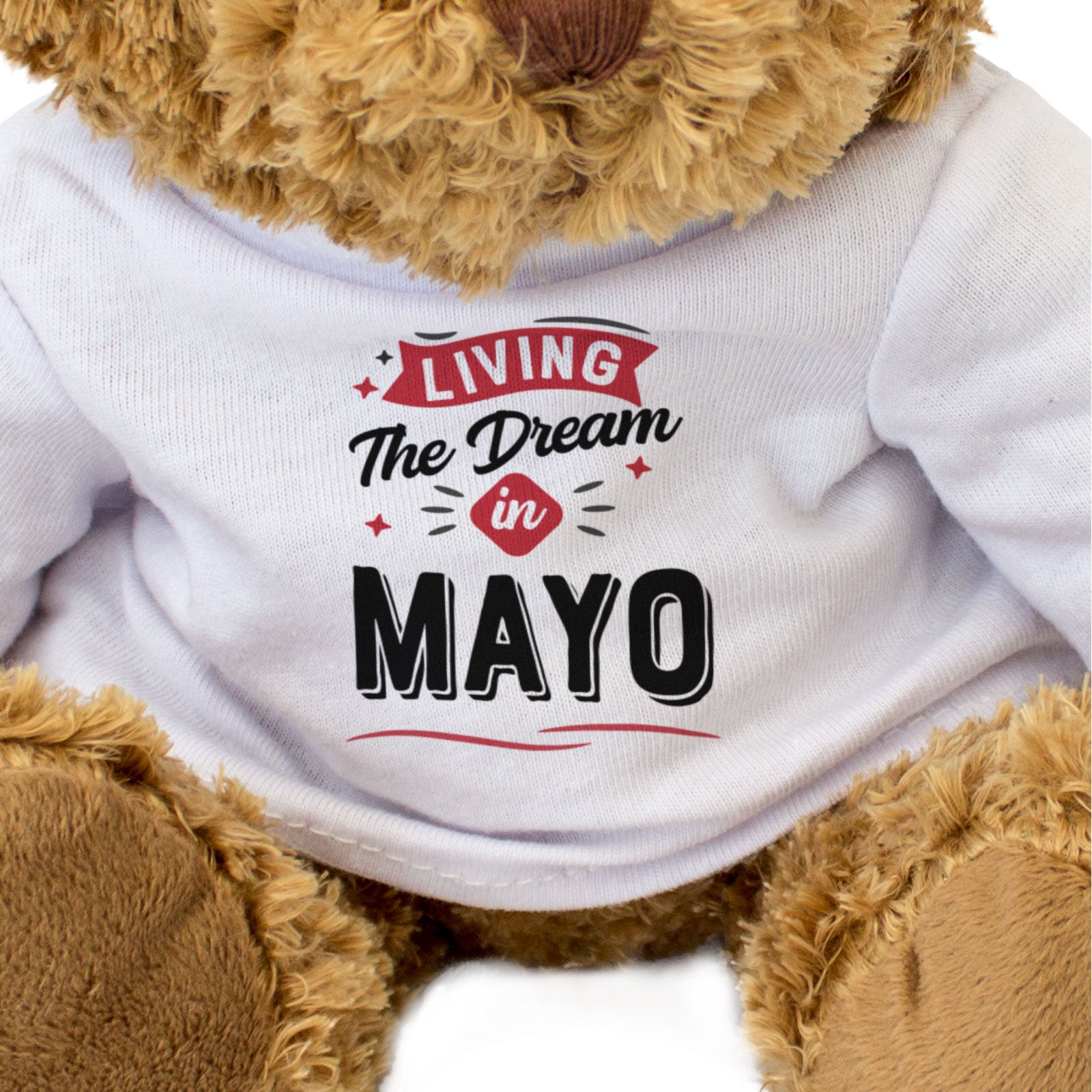 LIVING THE DREAM IN MAYO - Teddy Bear - Cute - Funny Ireland Gift Present