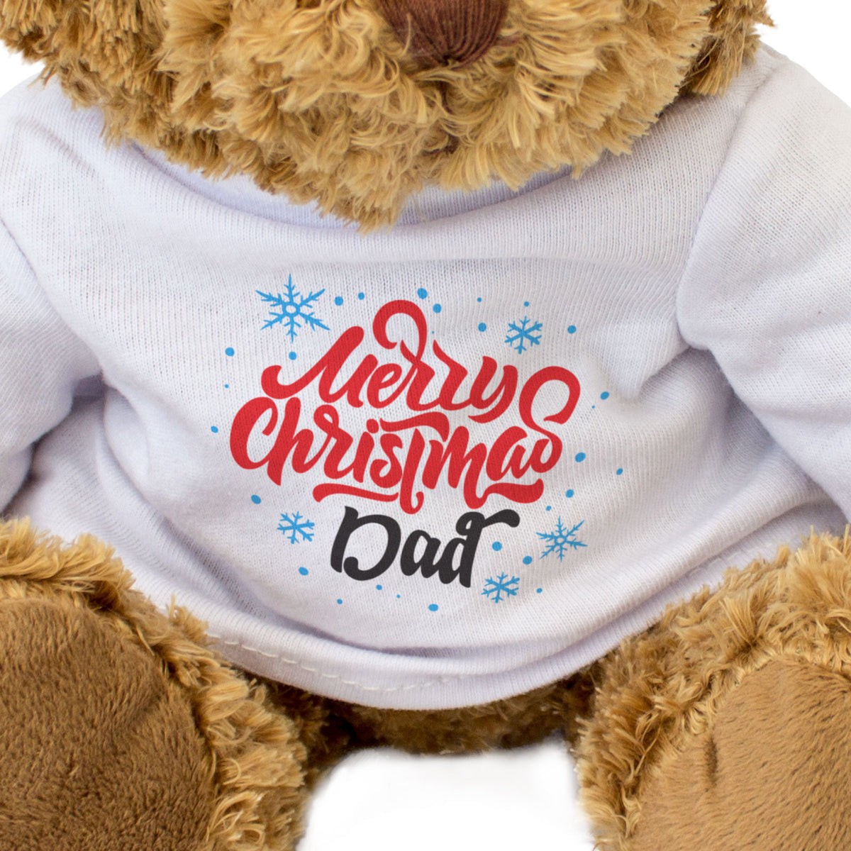 Merry Christmas Dad - Teddy Bear