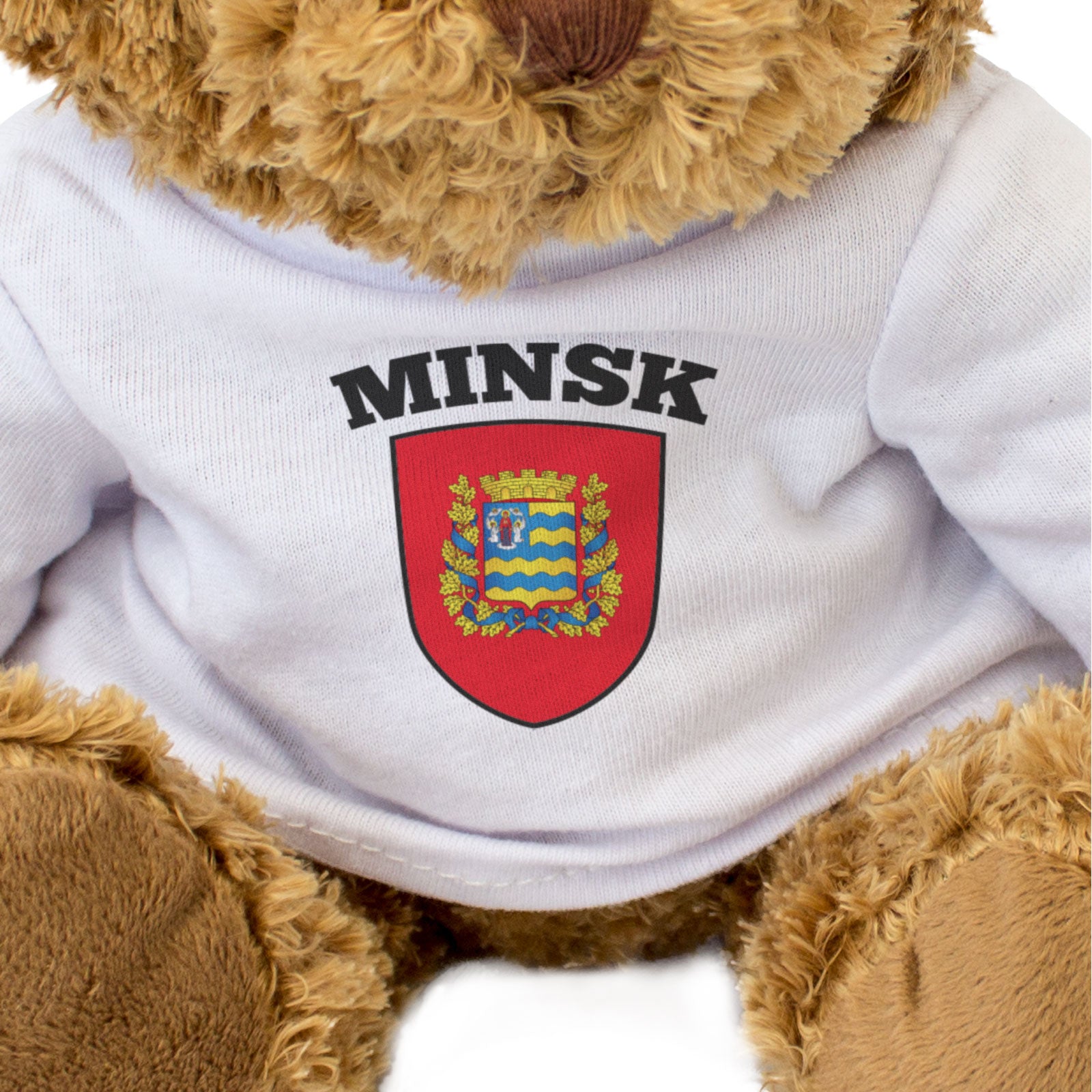 MINSK REGION FLAG - Teddy Bear - Cute Cuddly Soft - Belarus Gift Present
